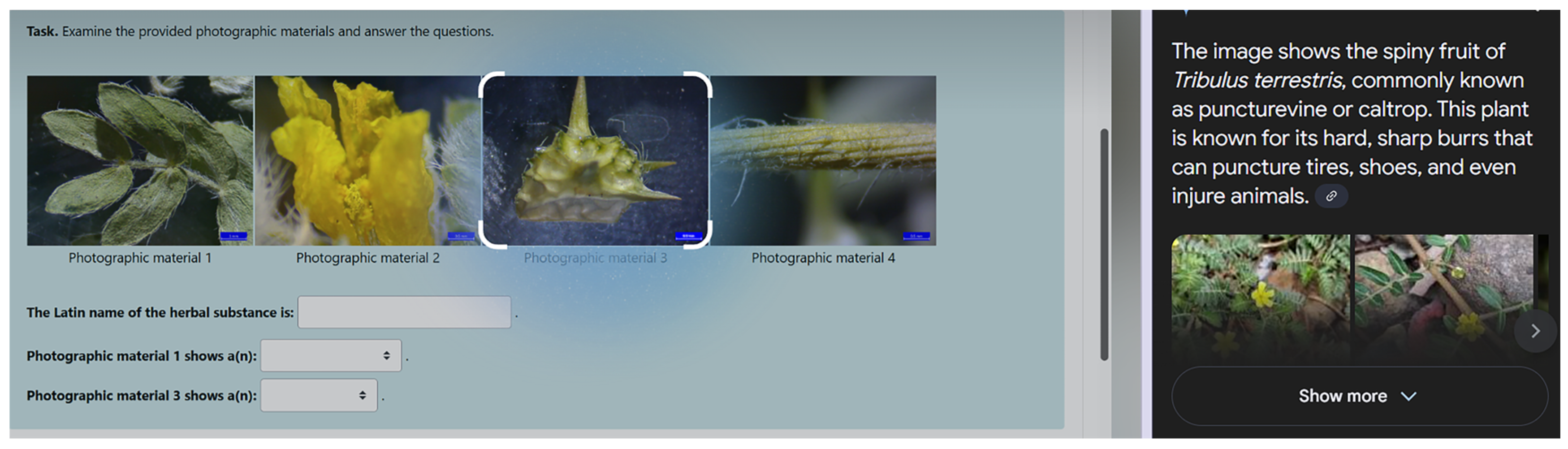 Sci 07 00183 g0a2 Sci 07 00183 g0a2