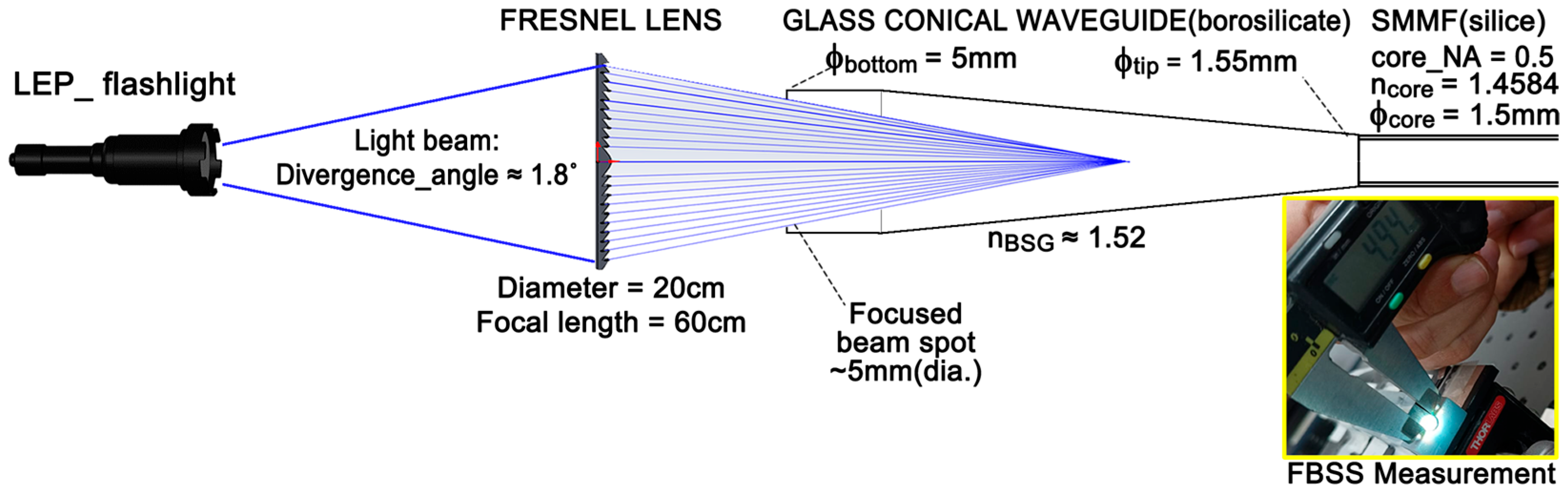 Sci 08 00028 g001