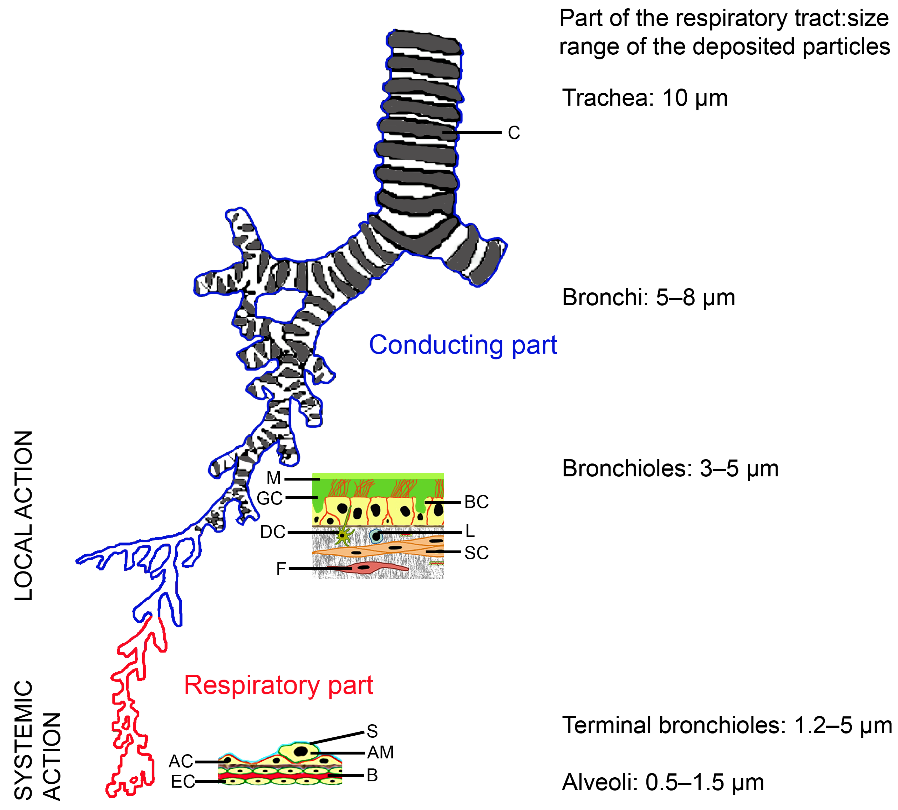 Sci 08 00089 g001 Sci 08 00089 g001