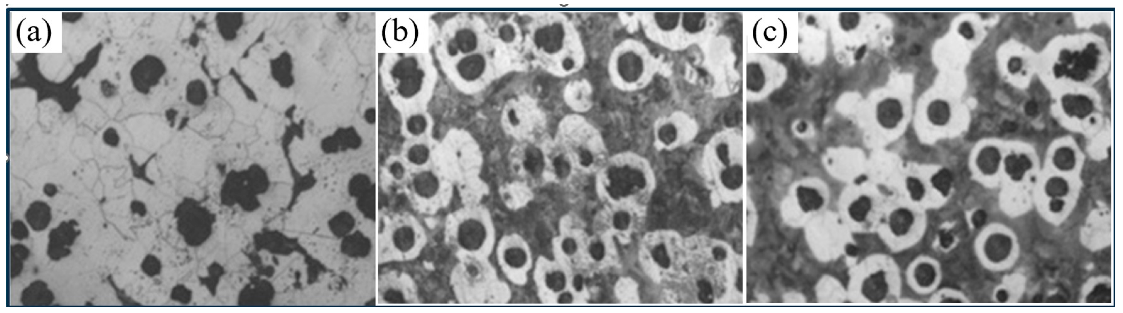 Sci 08 00128 g001 Sci 08 00128 g001