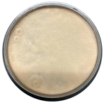 Sci 08 00144 i003