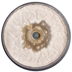 Sci 08 00144 i007