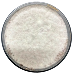 Sci 08 00144 i009