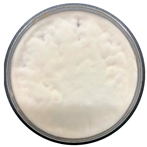 Sci 08 00144 i012