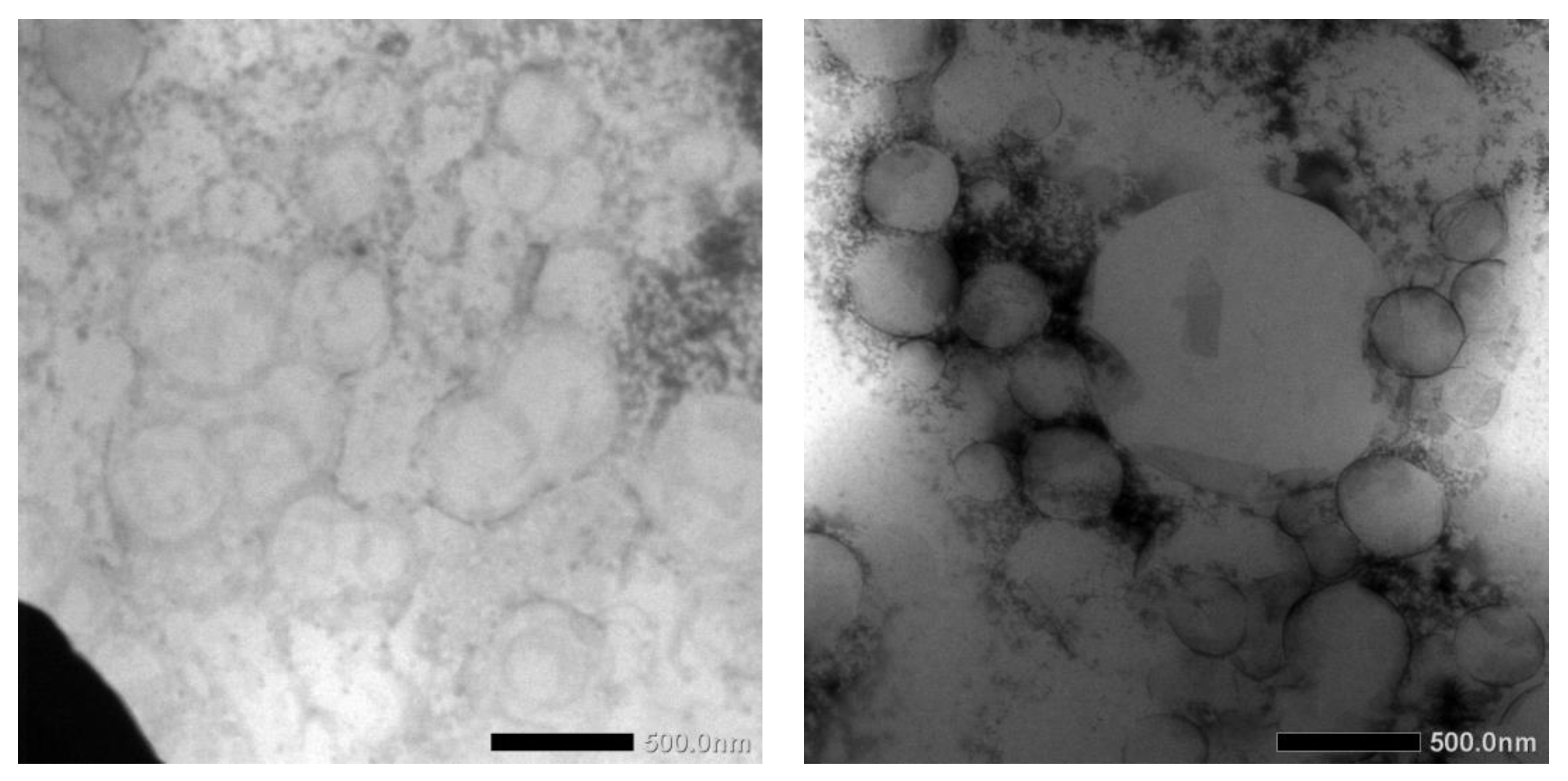 Scipharm 84 00634 g004 550