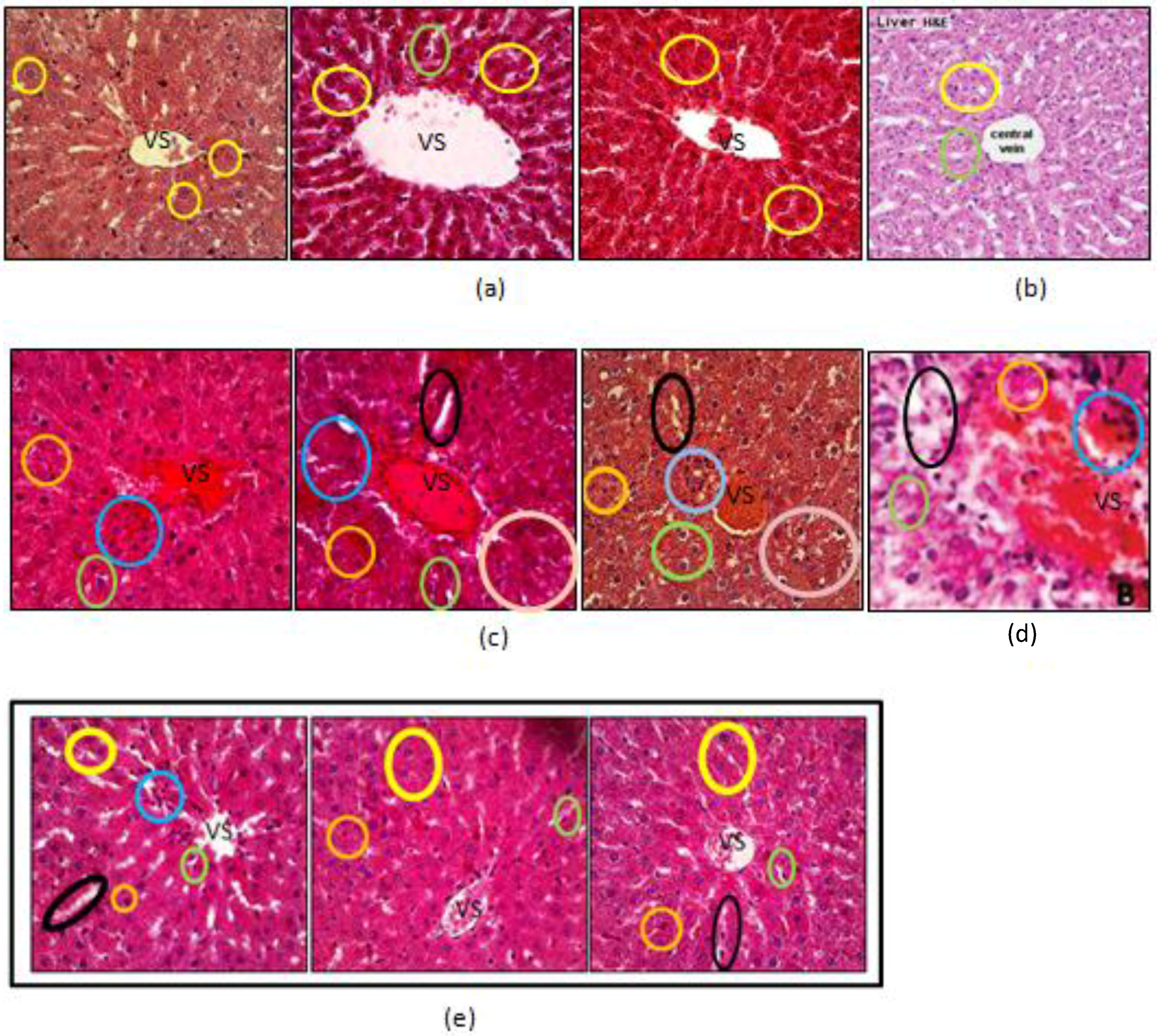 Scipharm 85 00016 g002a 550