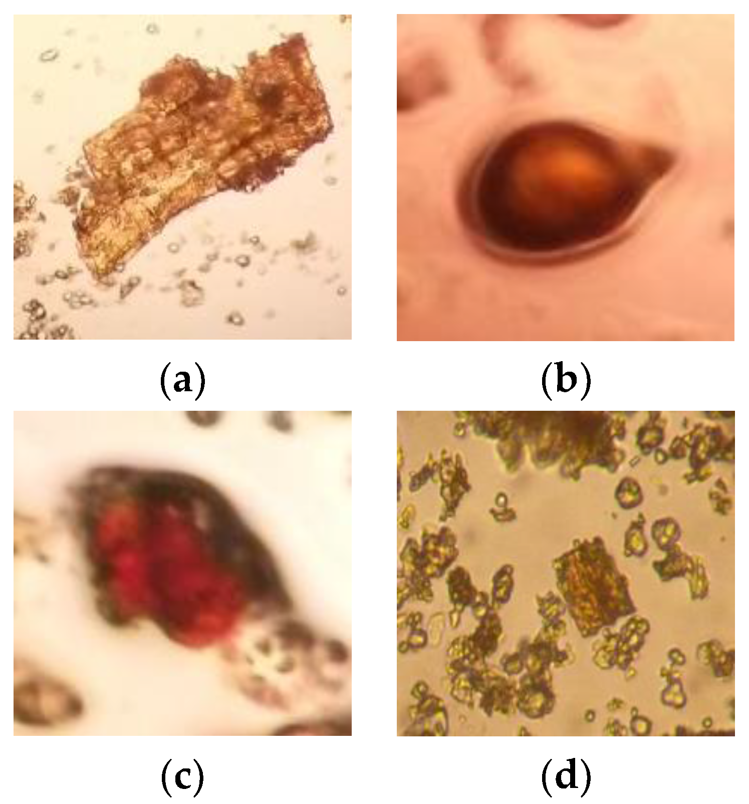 pimple microscope