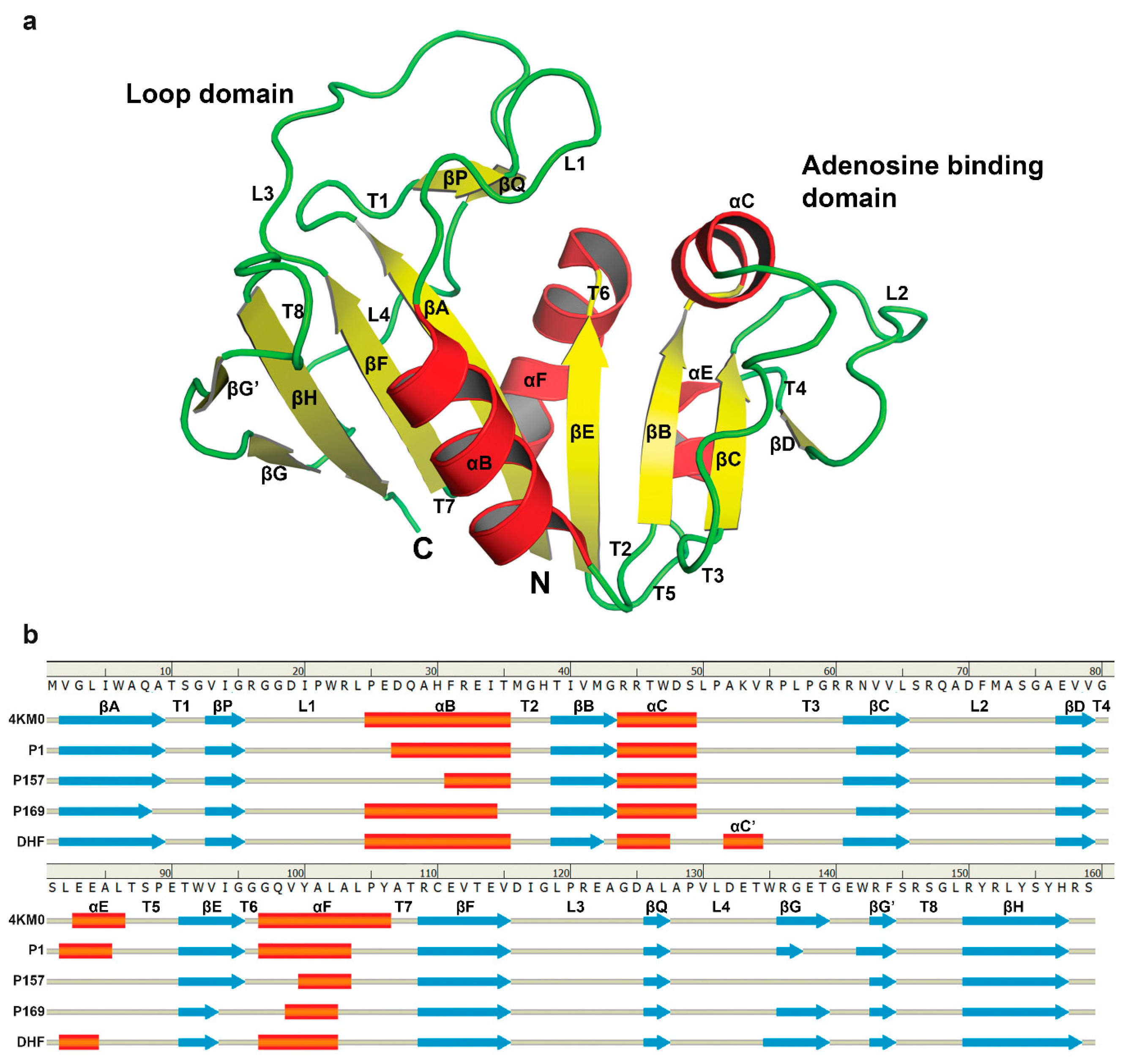 Scipharm 85 00031 g003