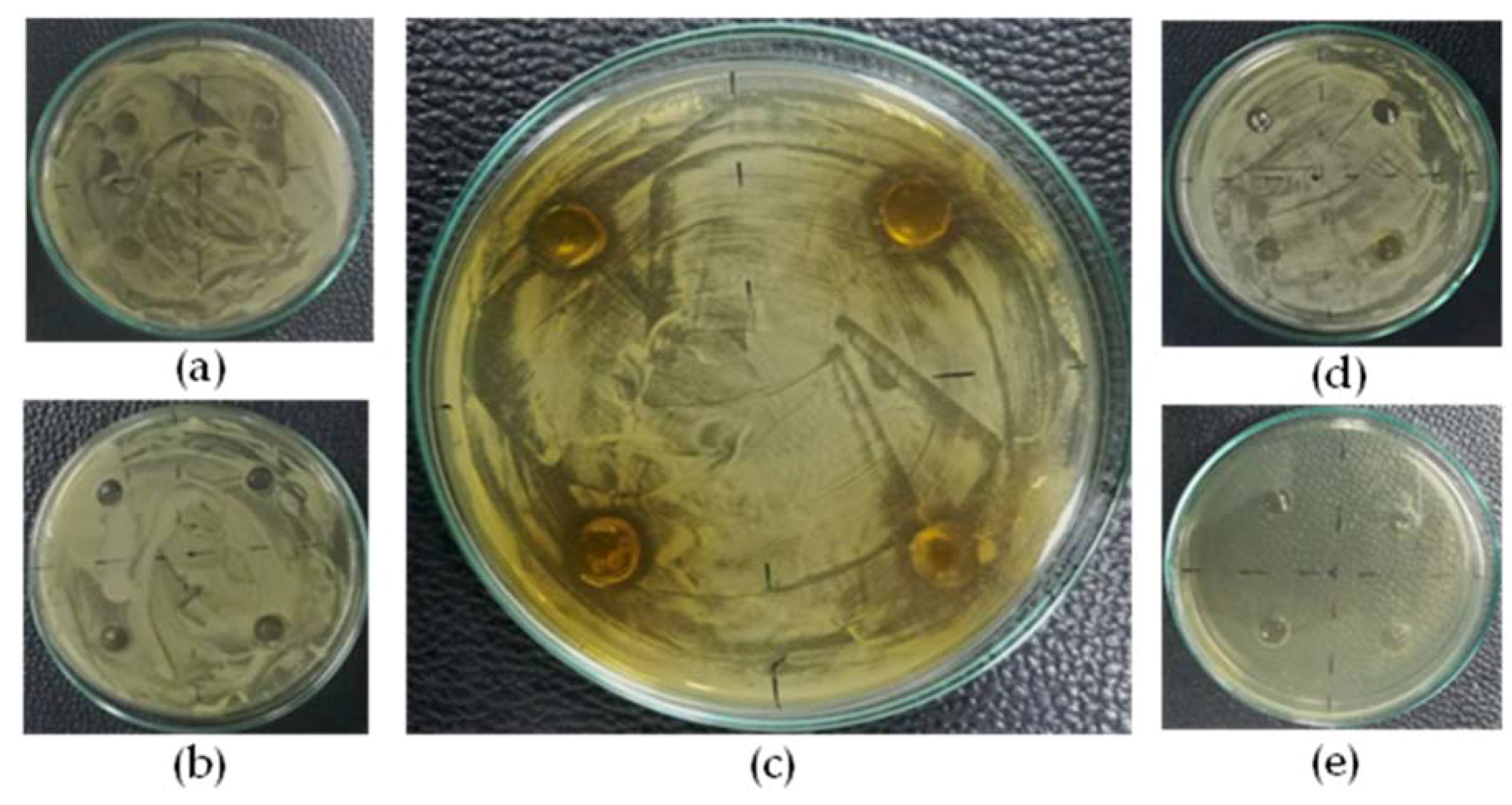 Scipharm 86 00008 g003