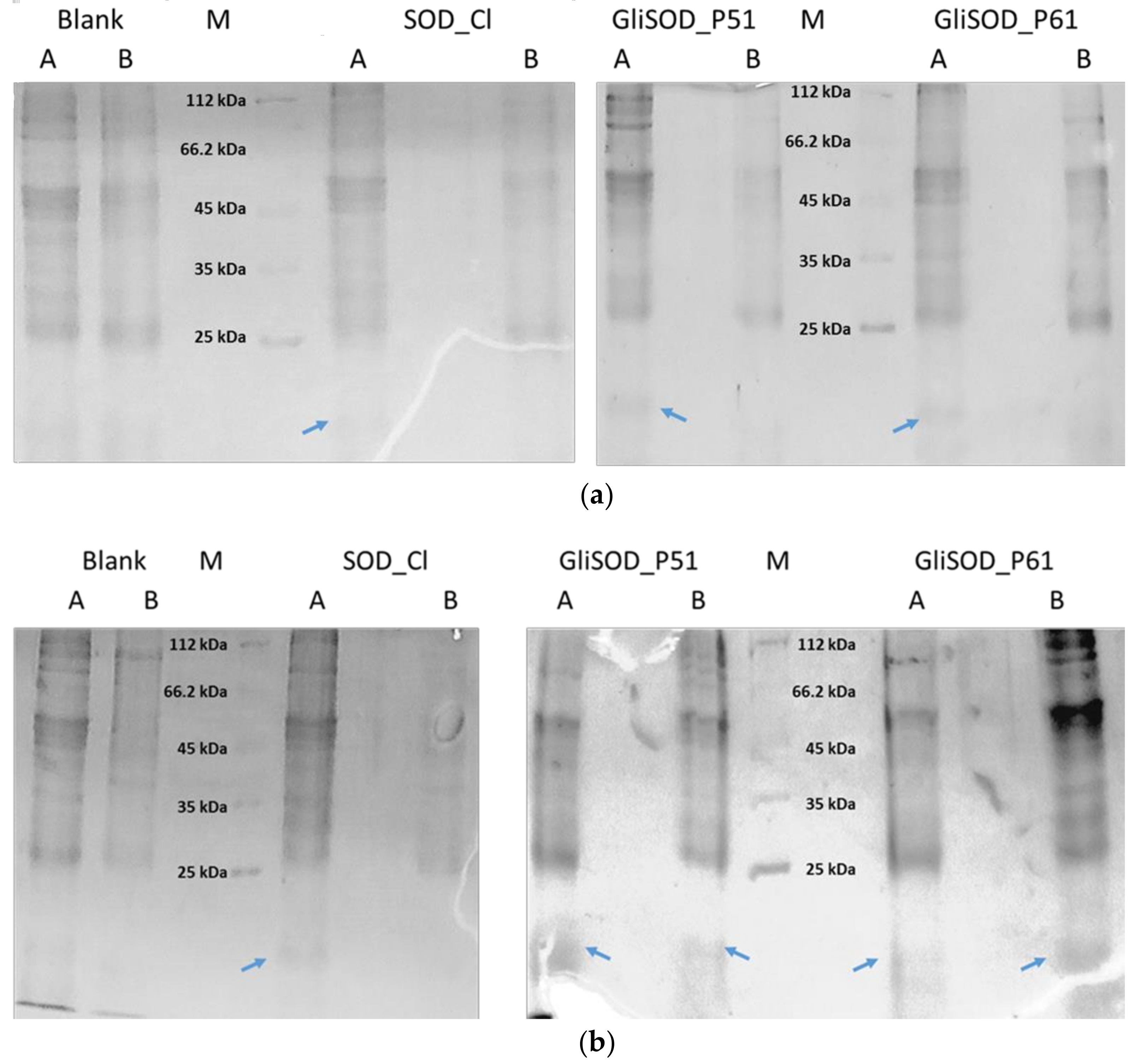 Scipharm 86 00013 g002