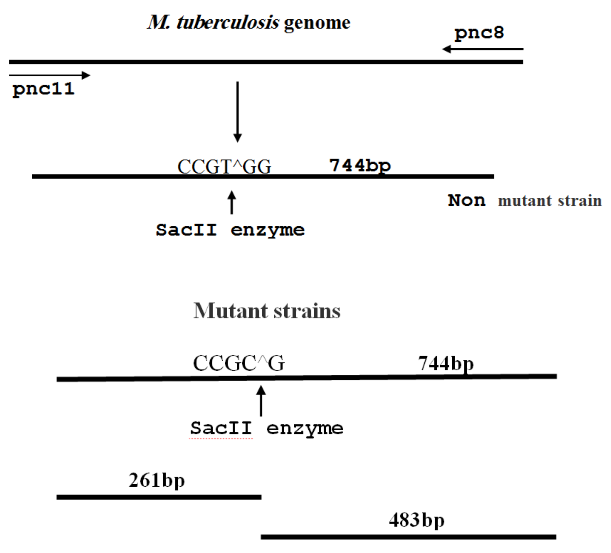 Scipharm 86 00015 g002
