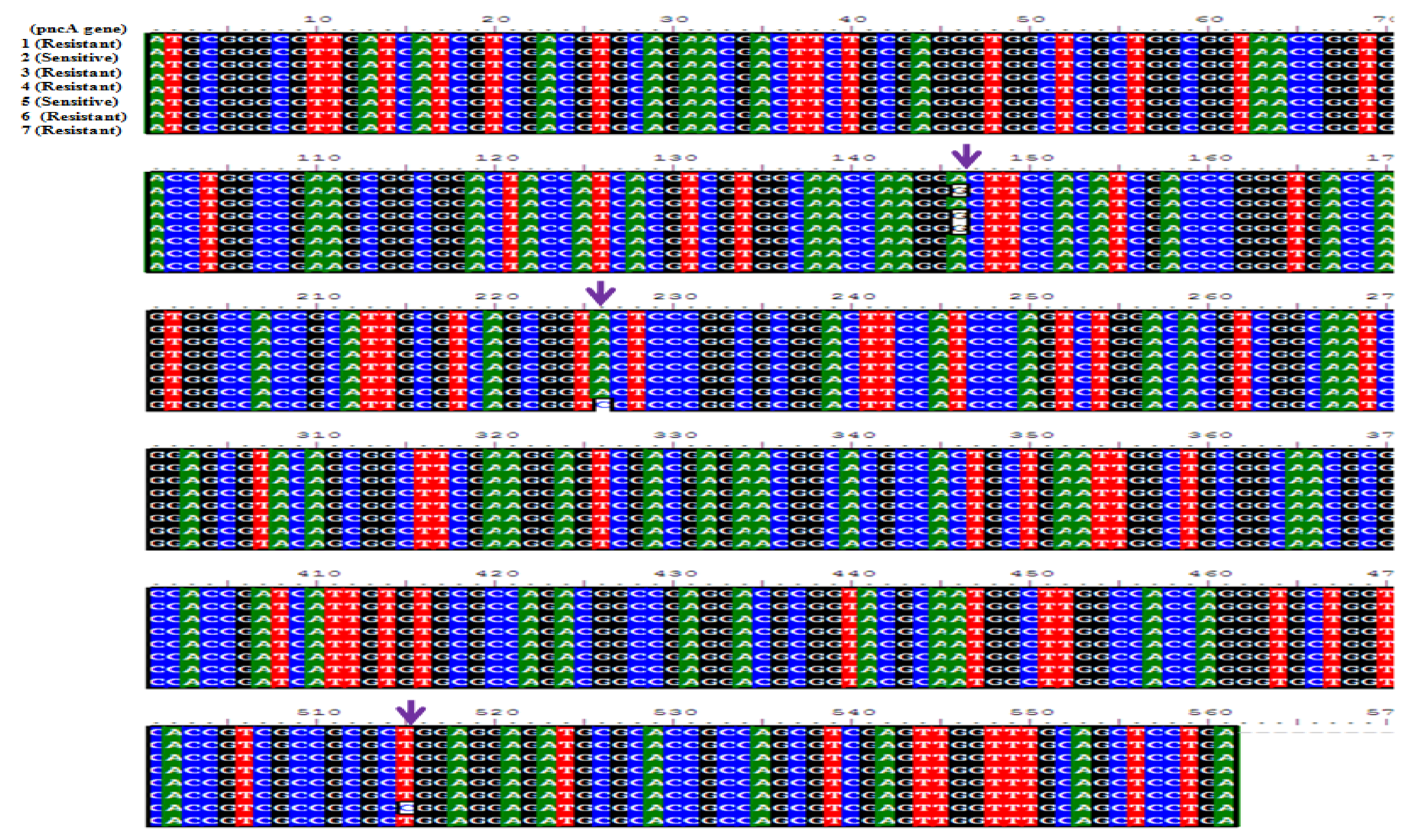 Scipharm 86 00015 g008