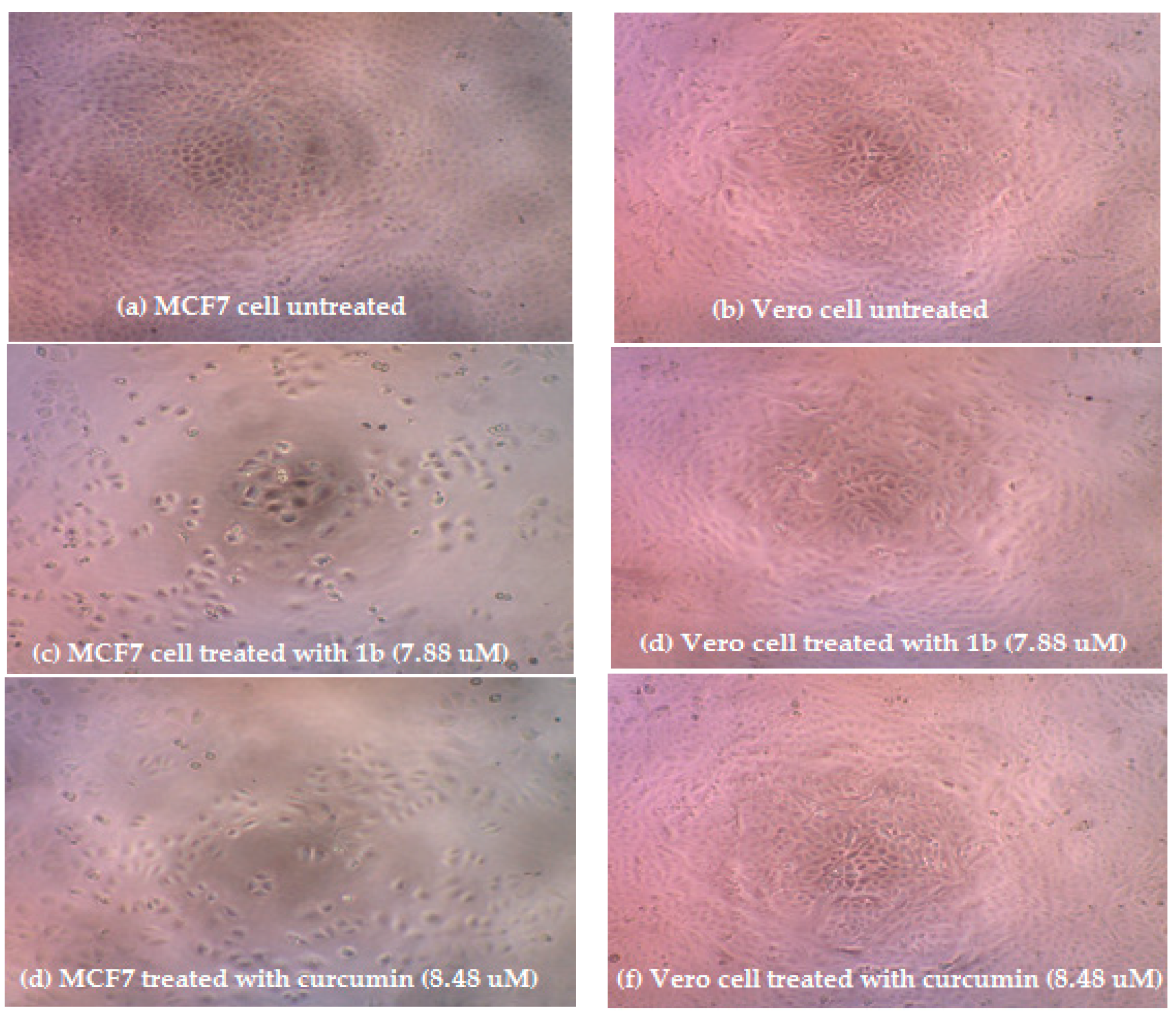 Scipharm 86 00025 g002a