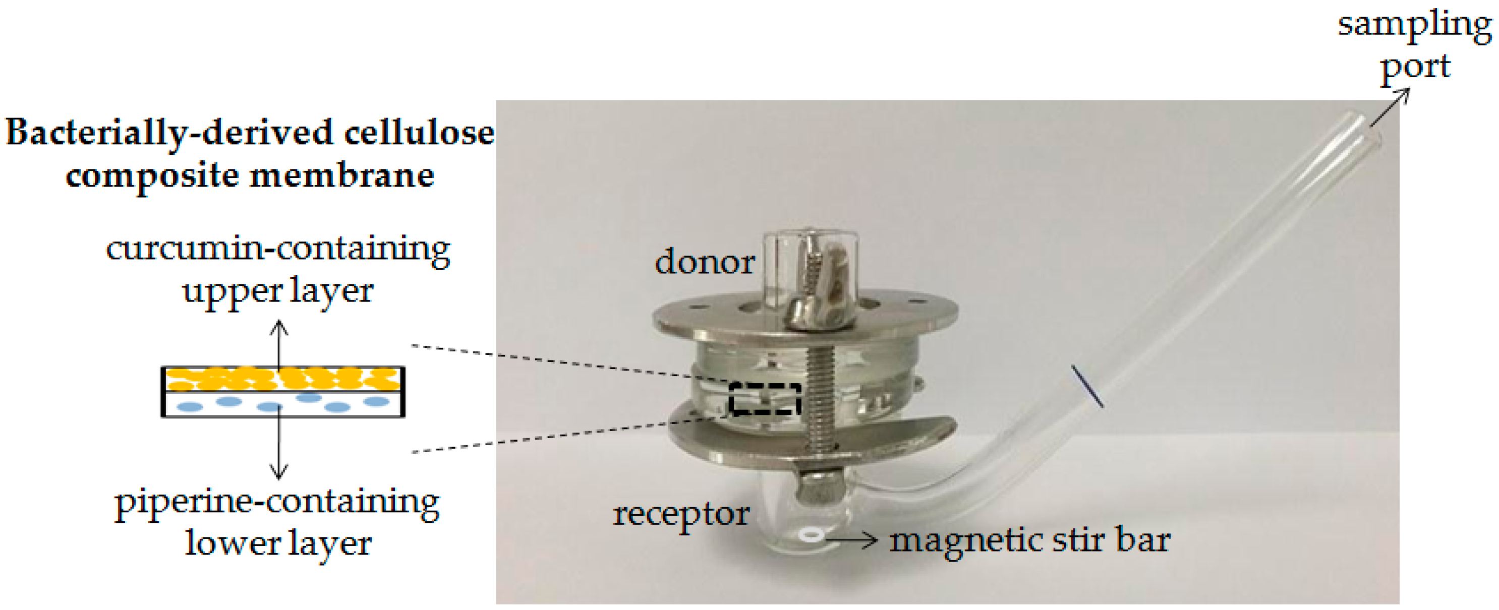 Scipharm 86 00039 g001