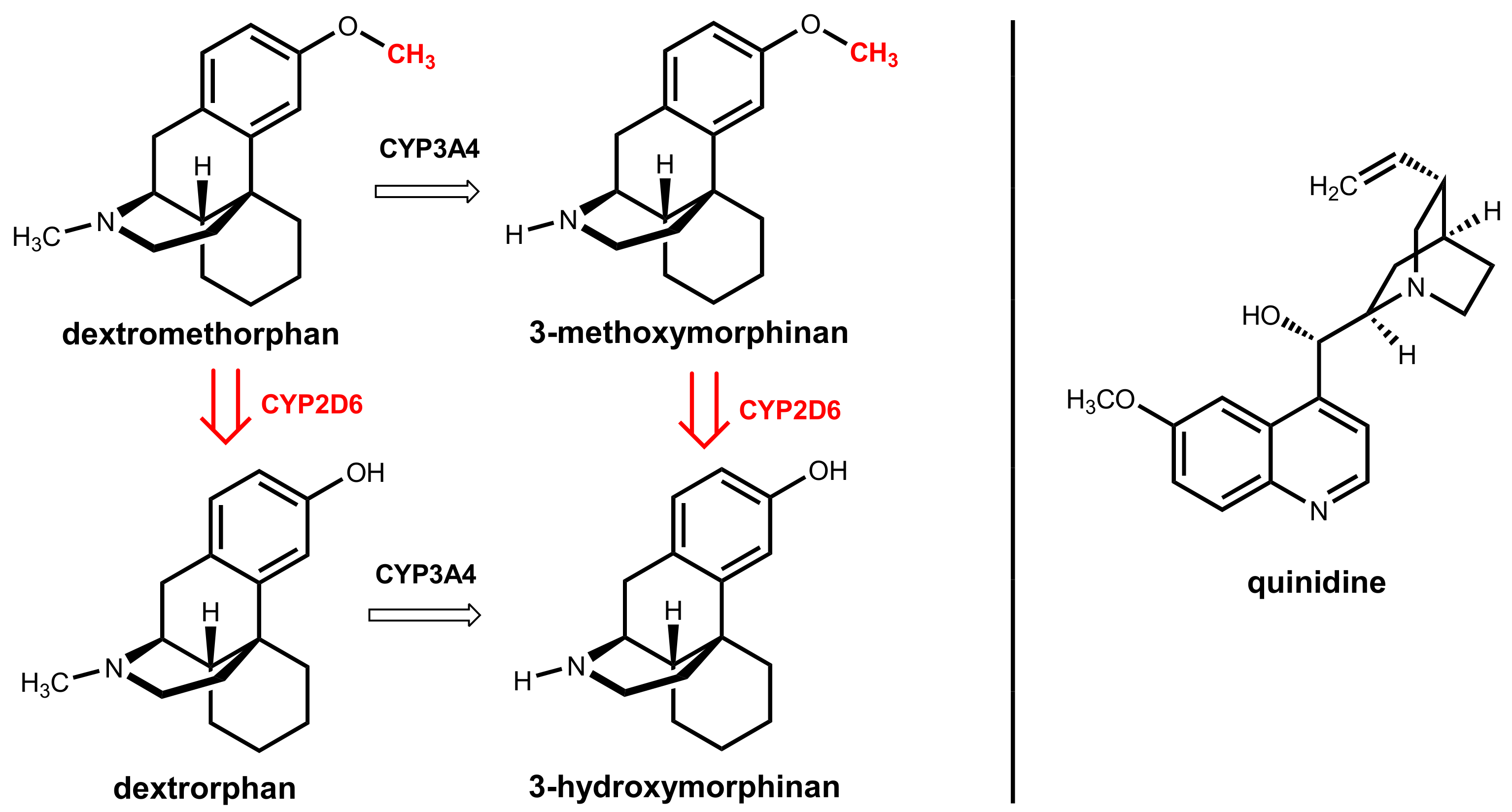 Ингибиторы cyp3a4