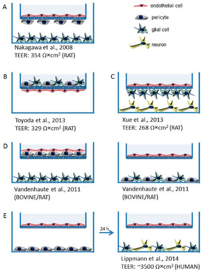 Sci Pharm Free Full Text Overcoming The Blood Brain Barrier Challenges And Tricks For Cns Drug Delivery Html