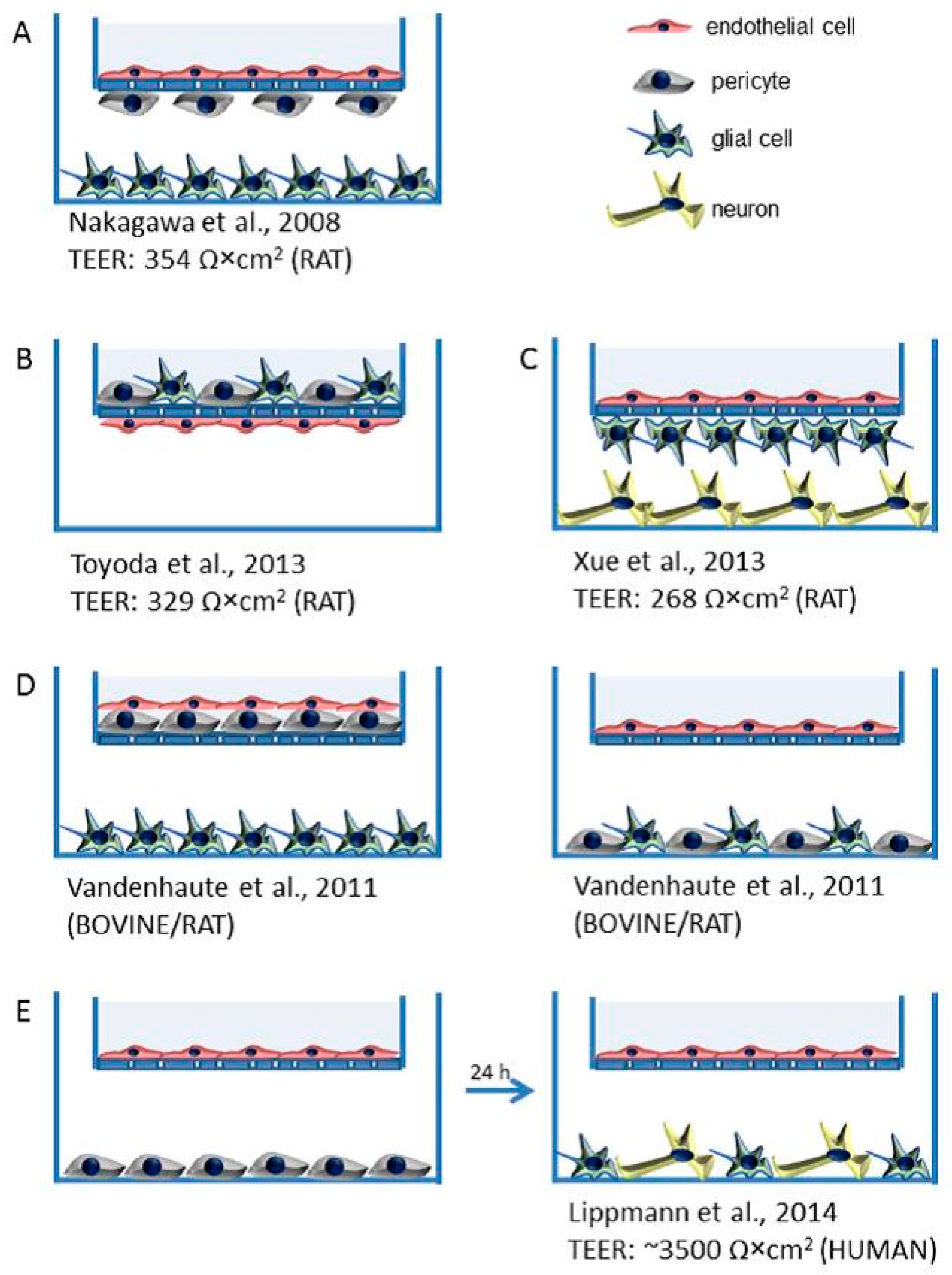 Sci Pharm Free Full Text Overcoming The Blood Brain Barrier Challenges And Tricks For Cns Drug Delivery Html