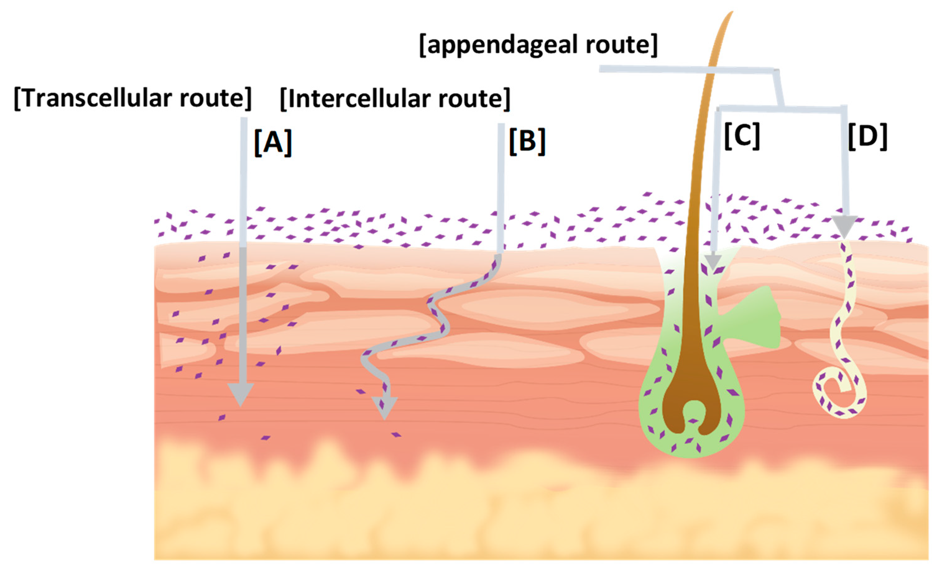 Sci. Pharm. | Free Full-Text | Nanoemulsion: A Review on Mechanisms for