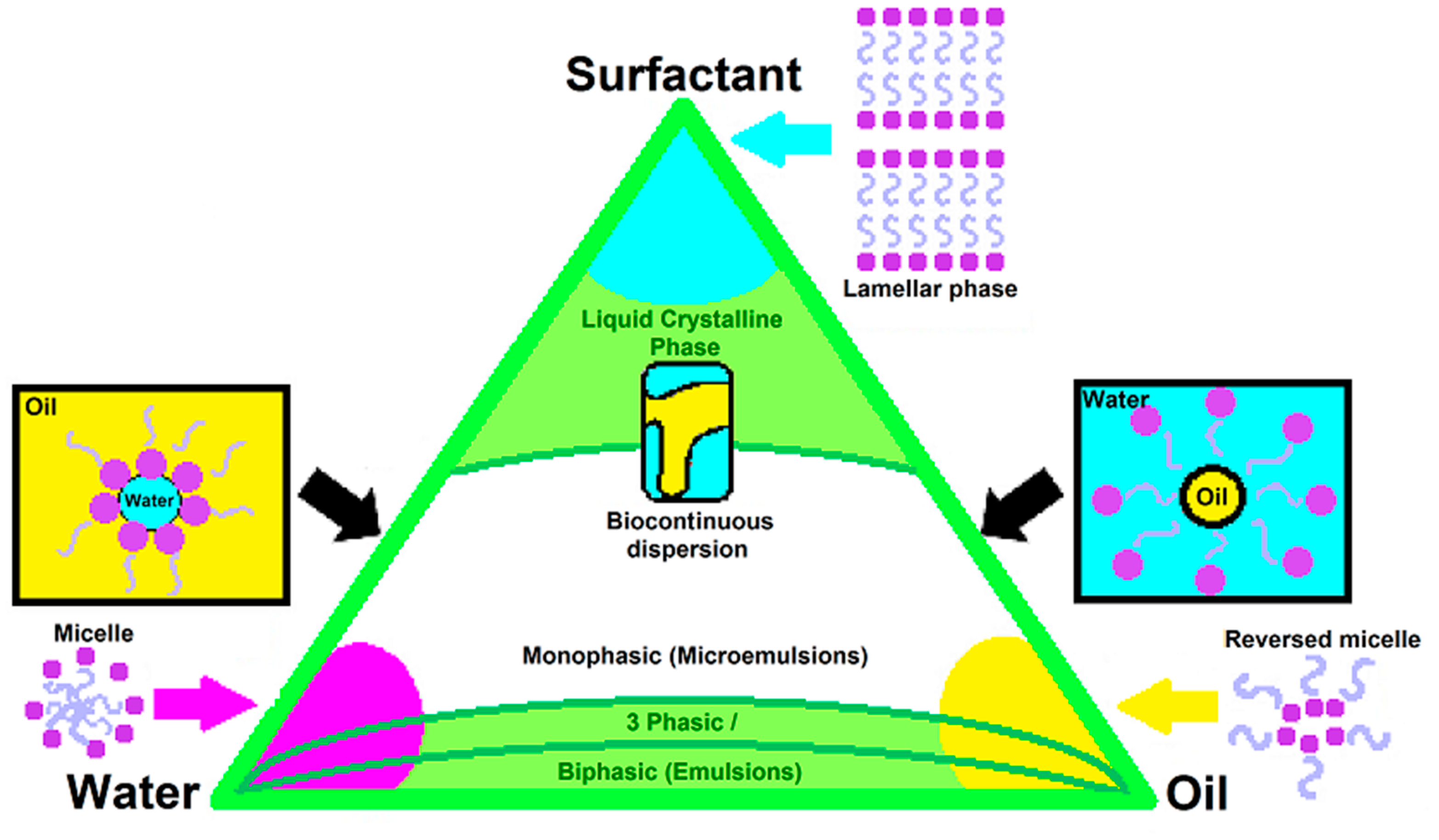 Scipharm 88 00017 g003 Scipharm 88 00017 g003