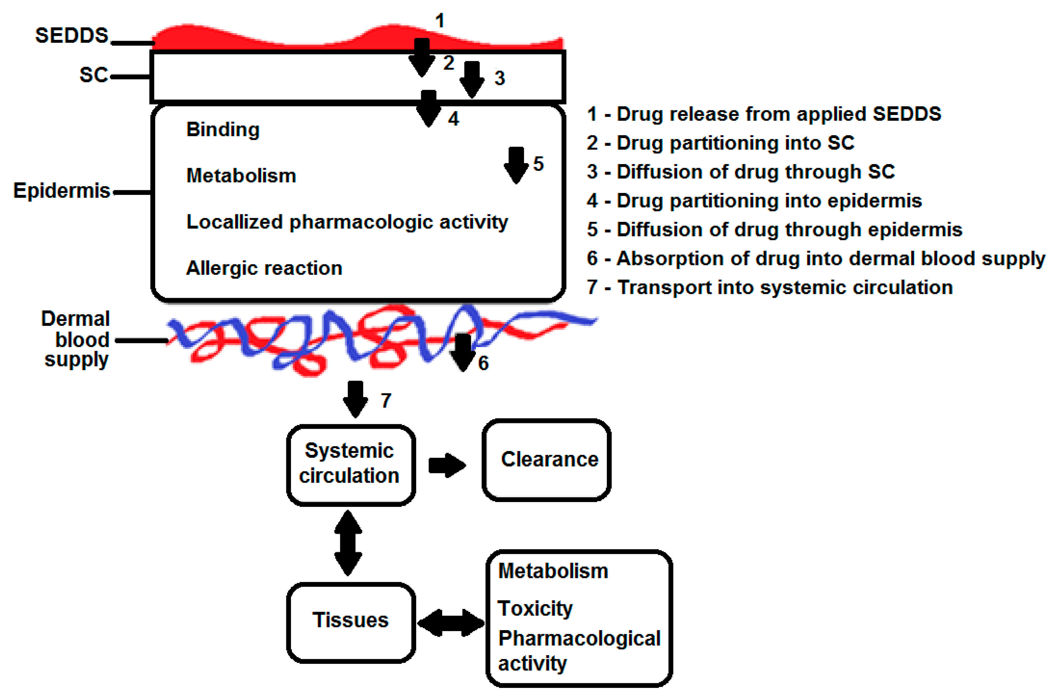 Scipharm 88 00017 g004 Scipharm 88 00017 g004