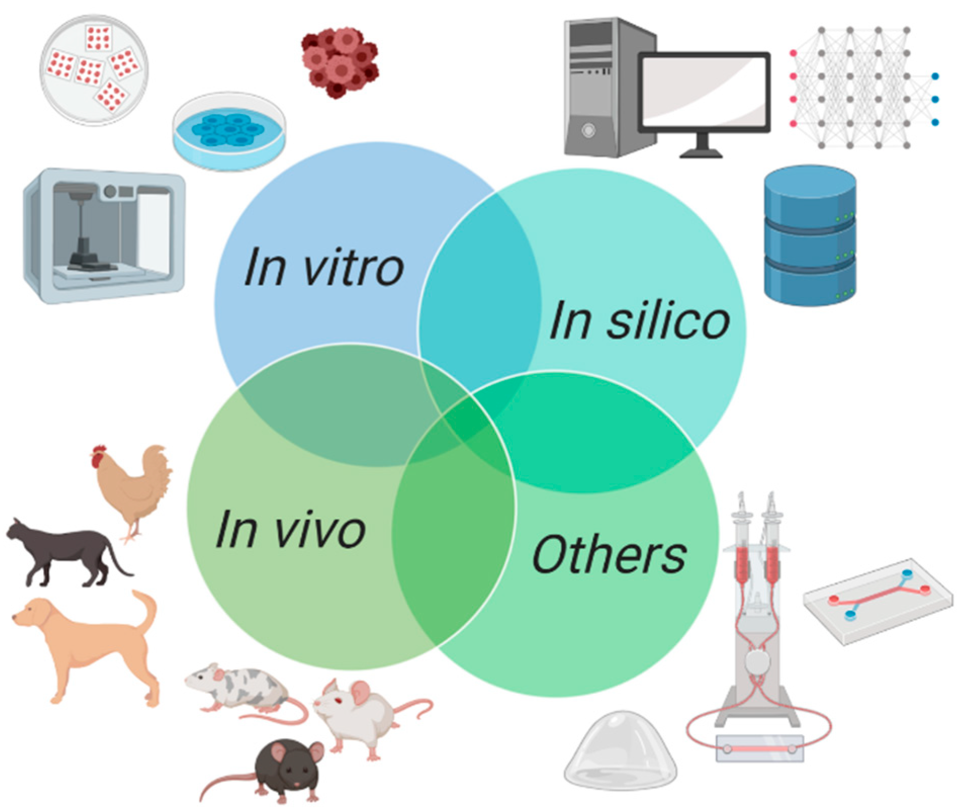 In vitro и in vivo