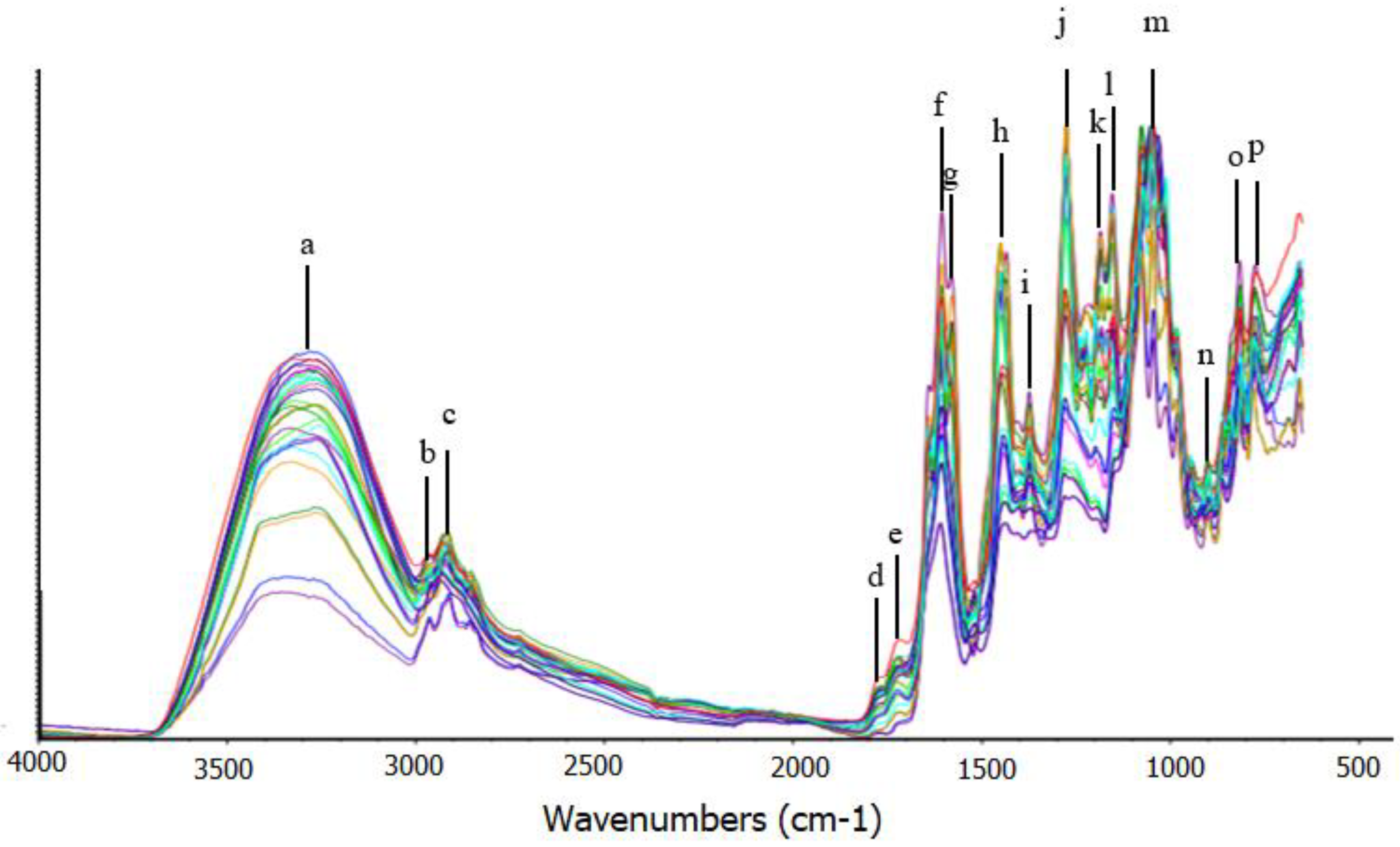 Scipharm 88 00035 g003 Scipharm 88 00035 g003