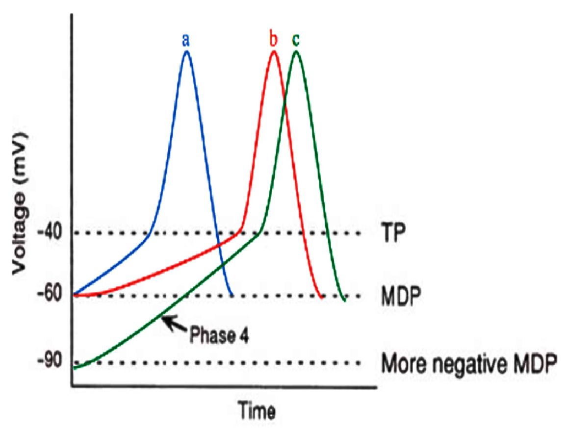 Scipharm 88 00055 g001 Scipharm 88 00055 g001