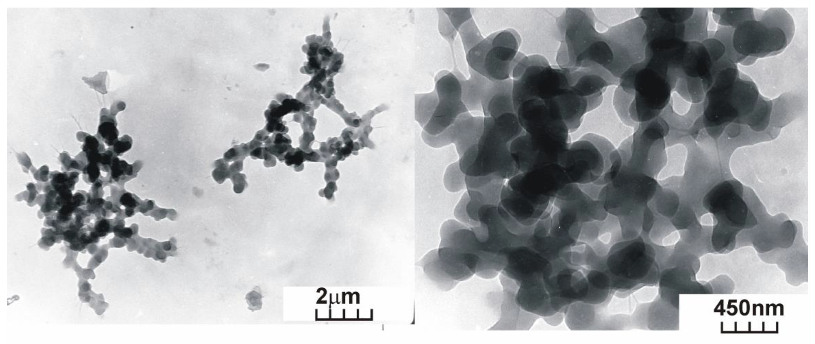 Scipharm 88 00056 g004