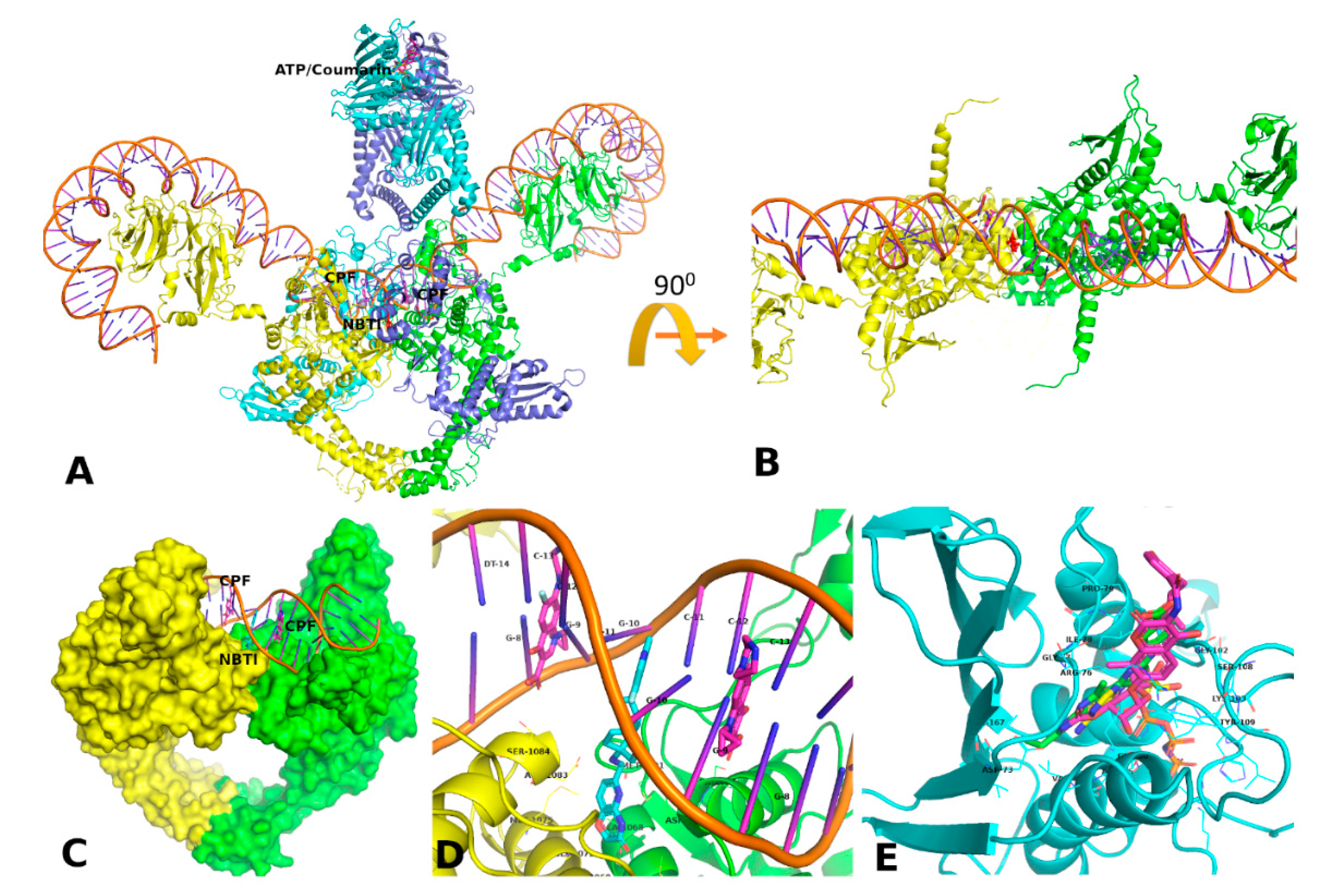 Scipharm 88 00057 g002 Scipharm 88 00057 g002