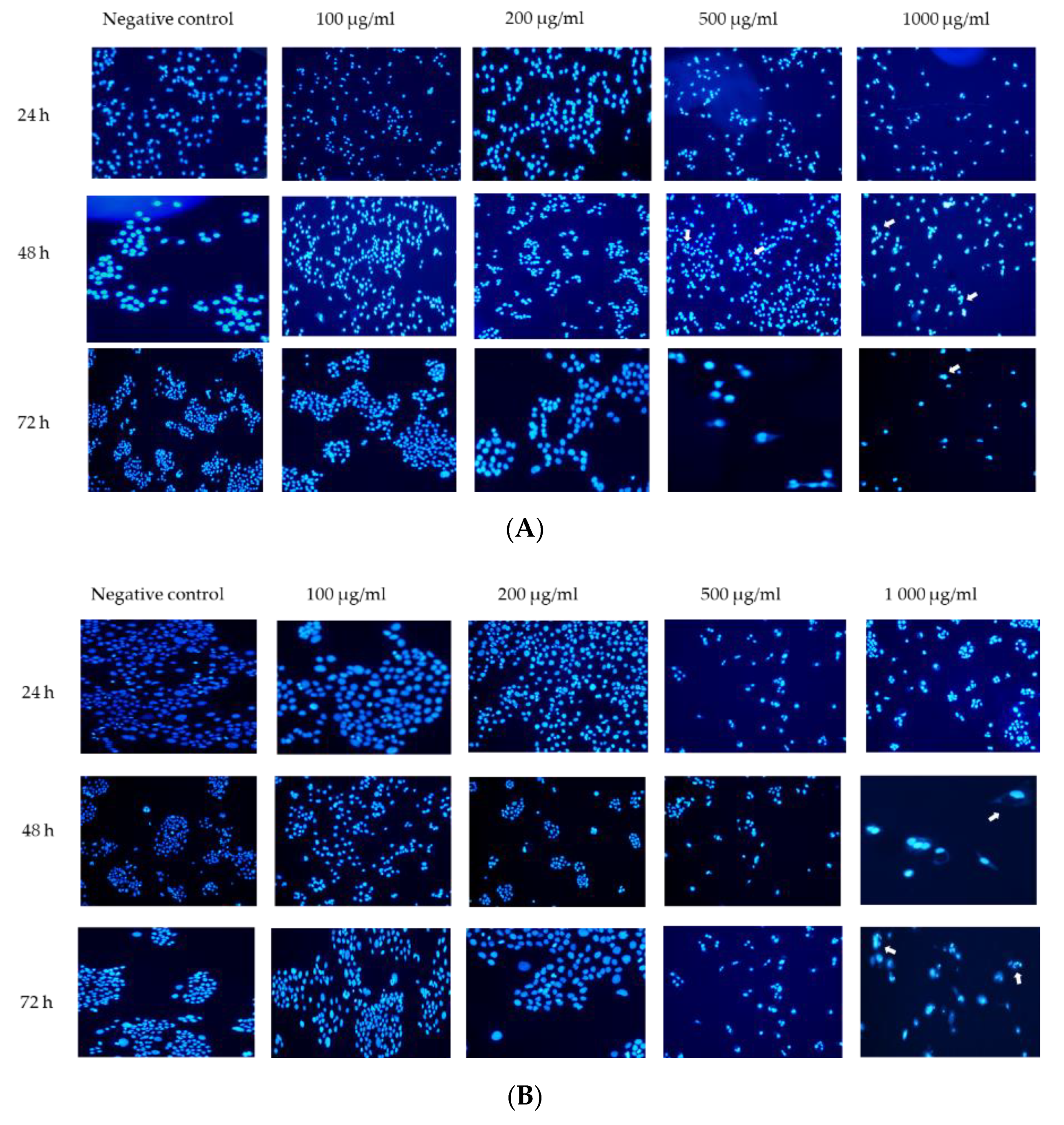 Scipharm 89 00012 g004 Scipharm 89 00012 g004