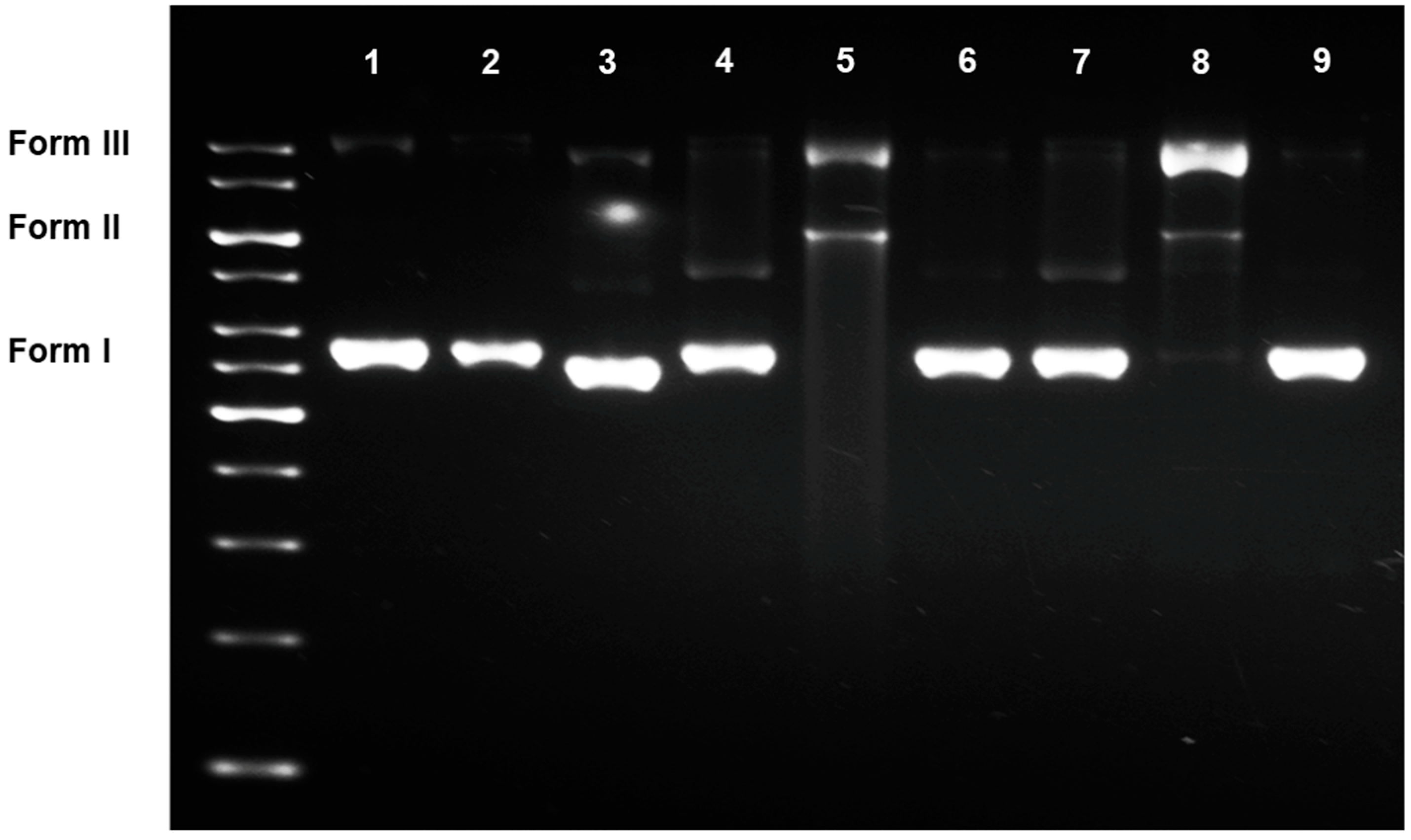 Scipharm 89 00026 g001
