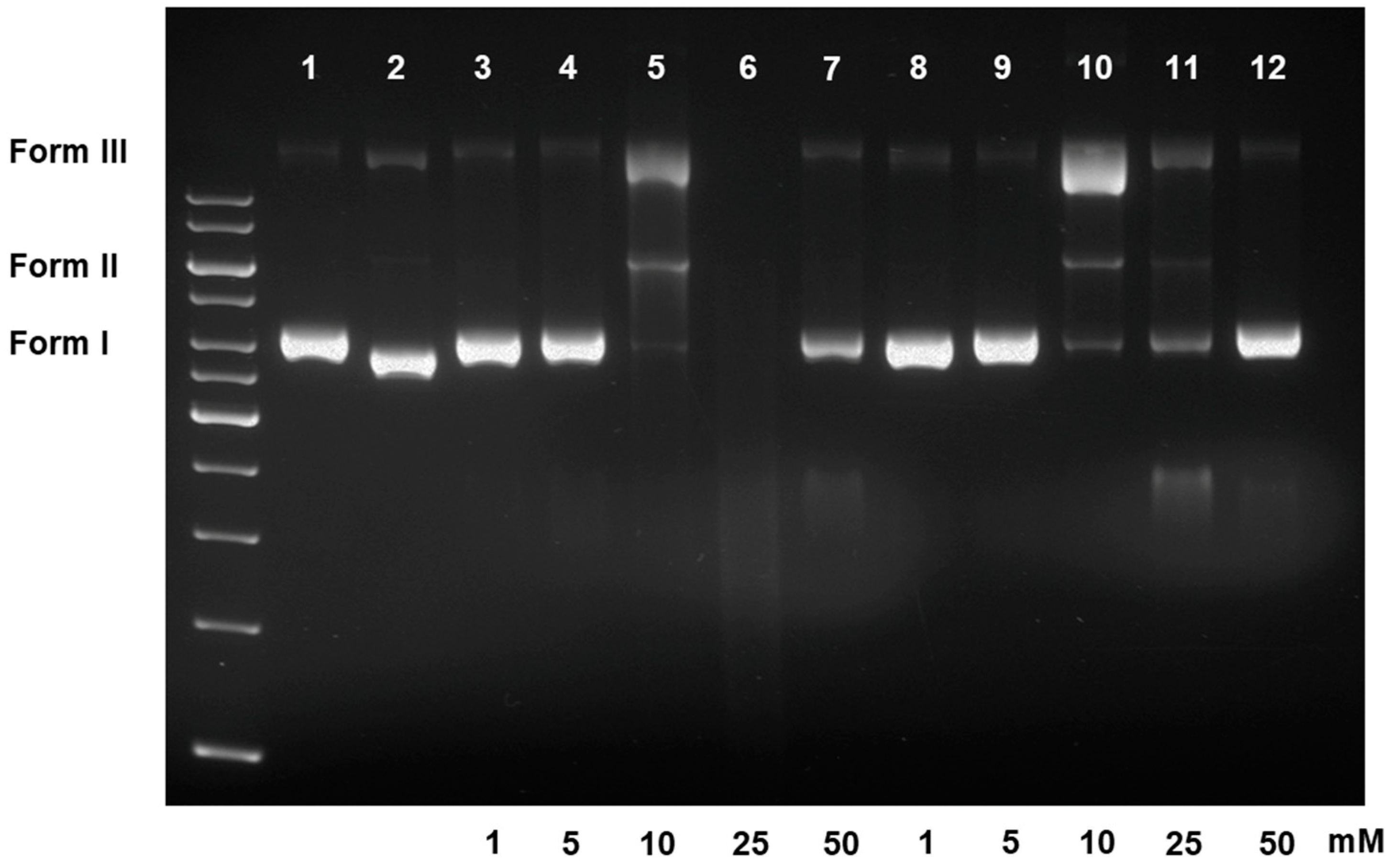 Scipharm 89 00026 g002