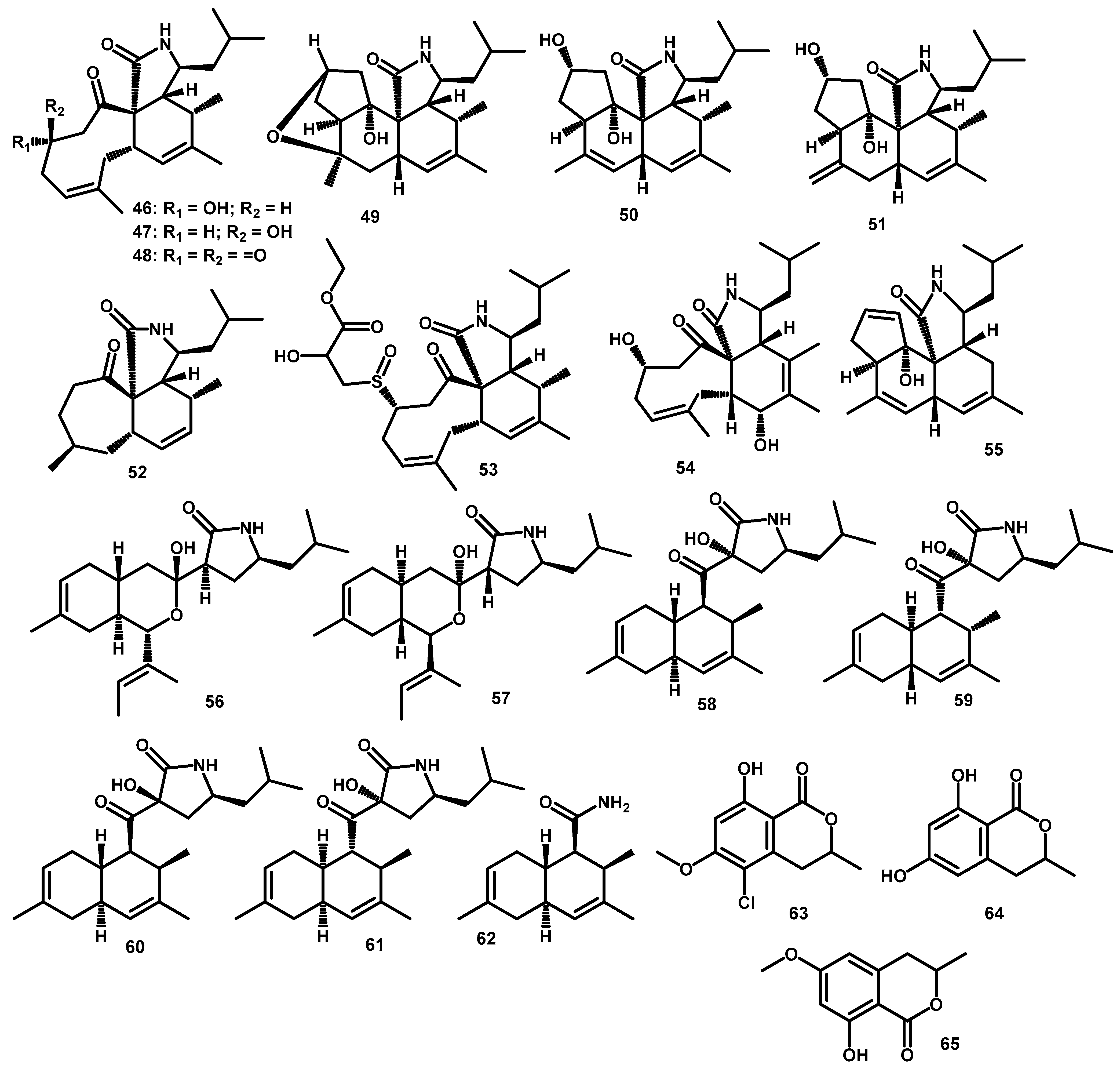 Scipharm 89 00034 g004