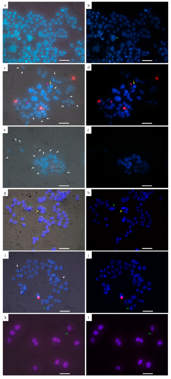 Scipharm 90 00007 g010