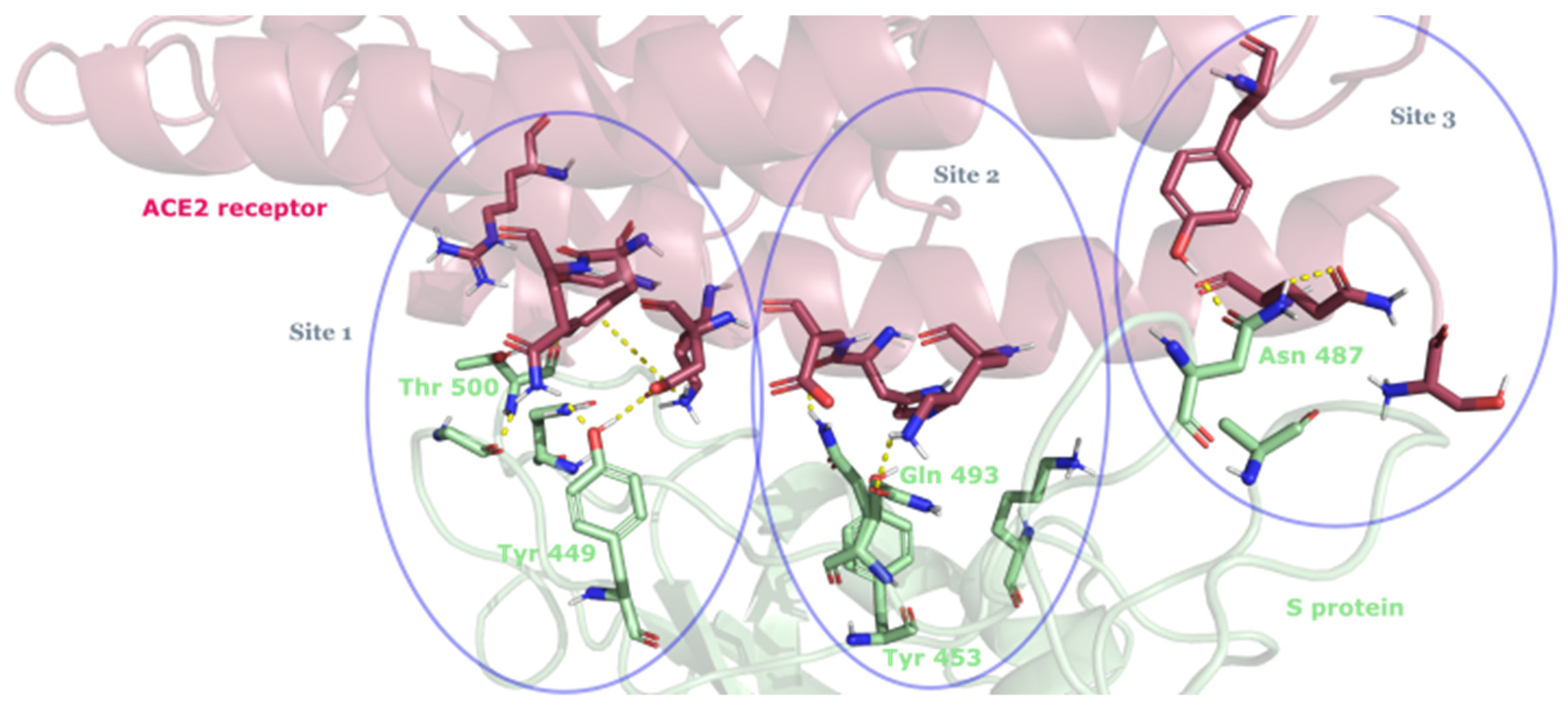 Scipharm 90 00024 g003