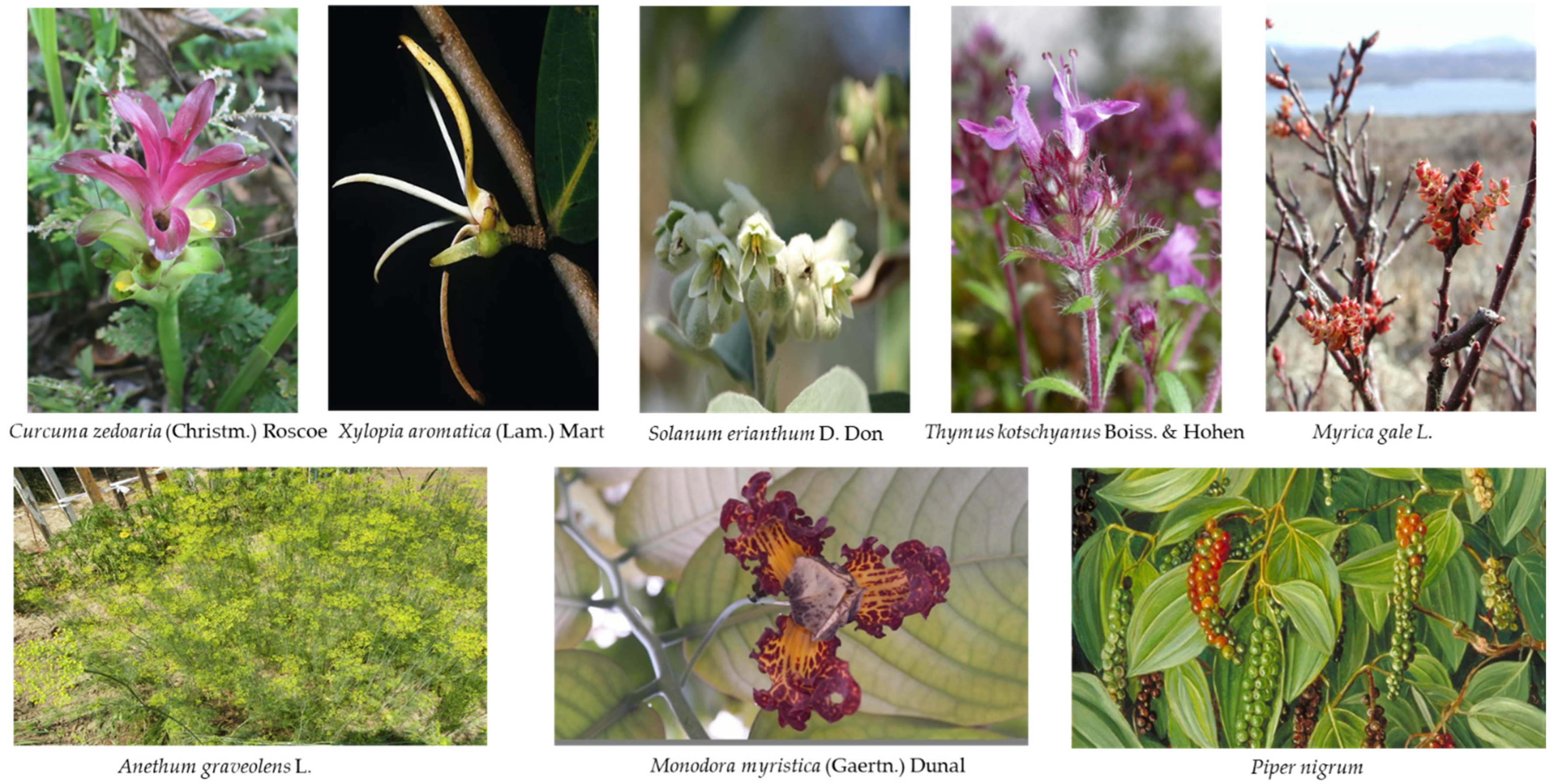 Scipharm 90 00057 g001 Scipharm 90 00057 g001