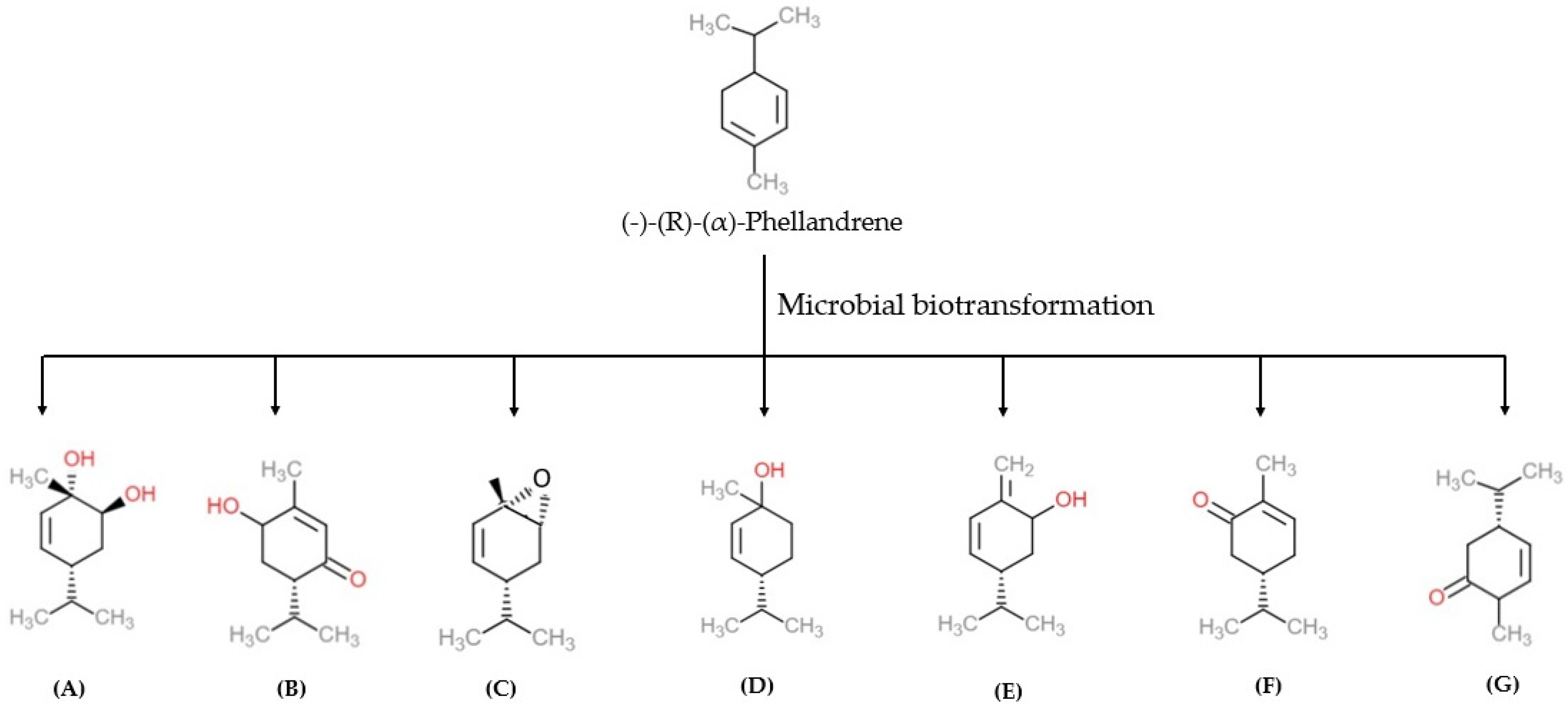 Scipharm 90 00057 g004 Scipharm 90 00057 g004