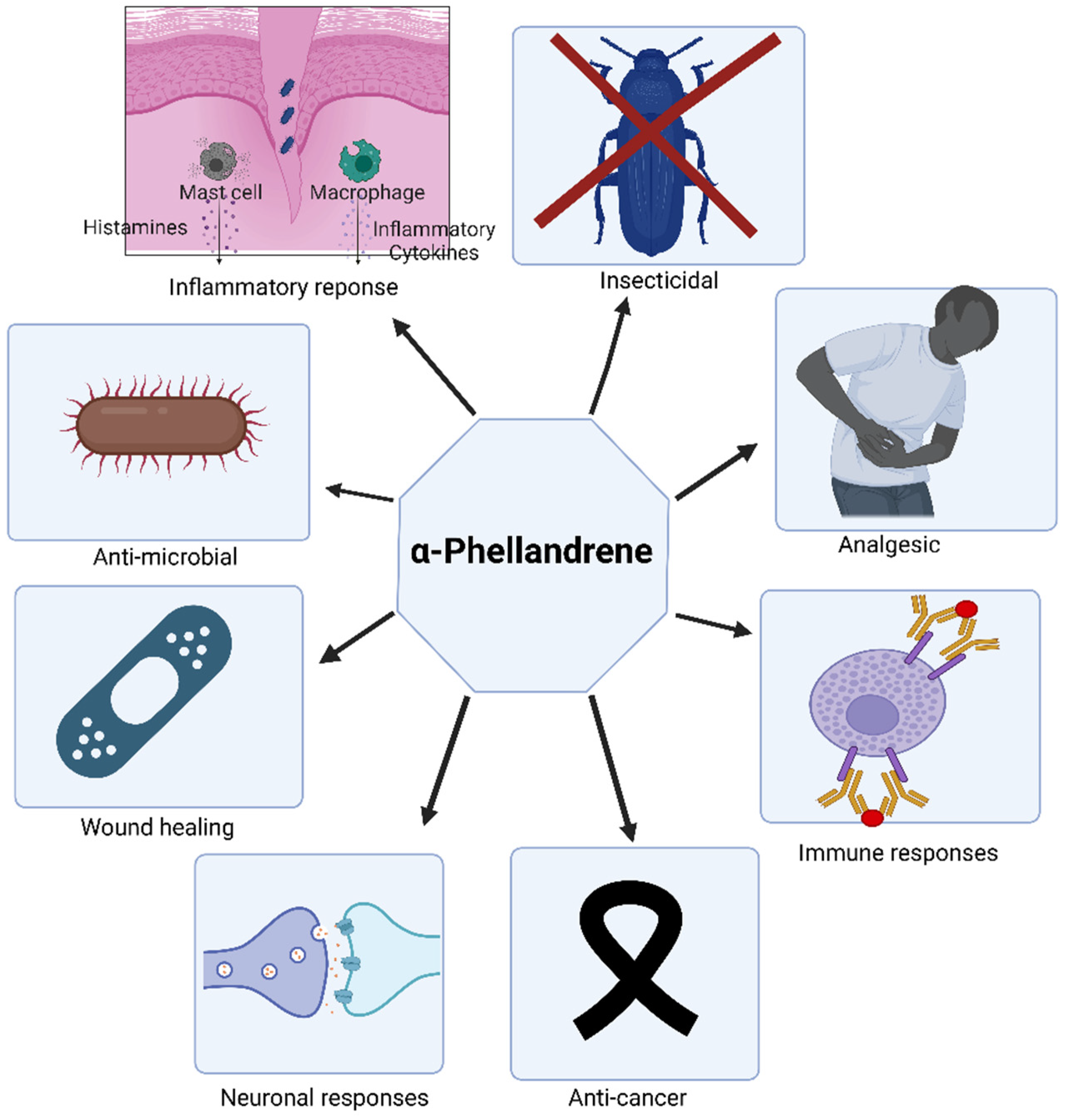 Scipharm 90 00057 g005 Scipharm 90 00057 g005