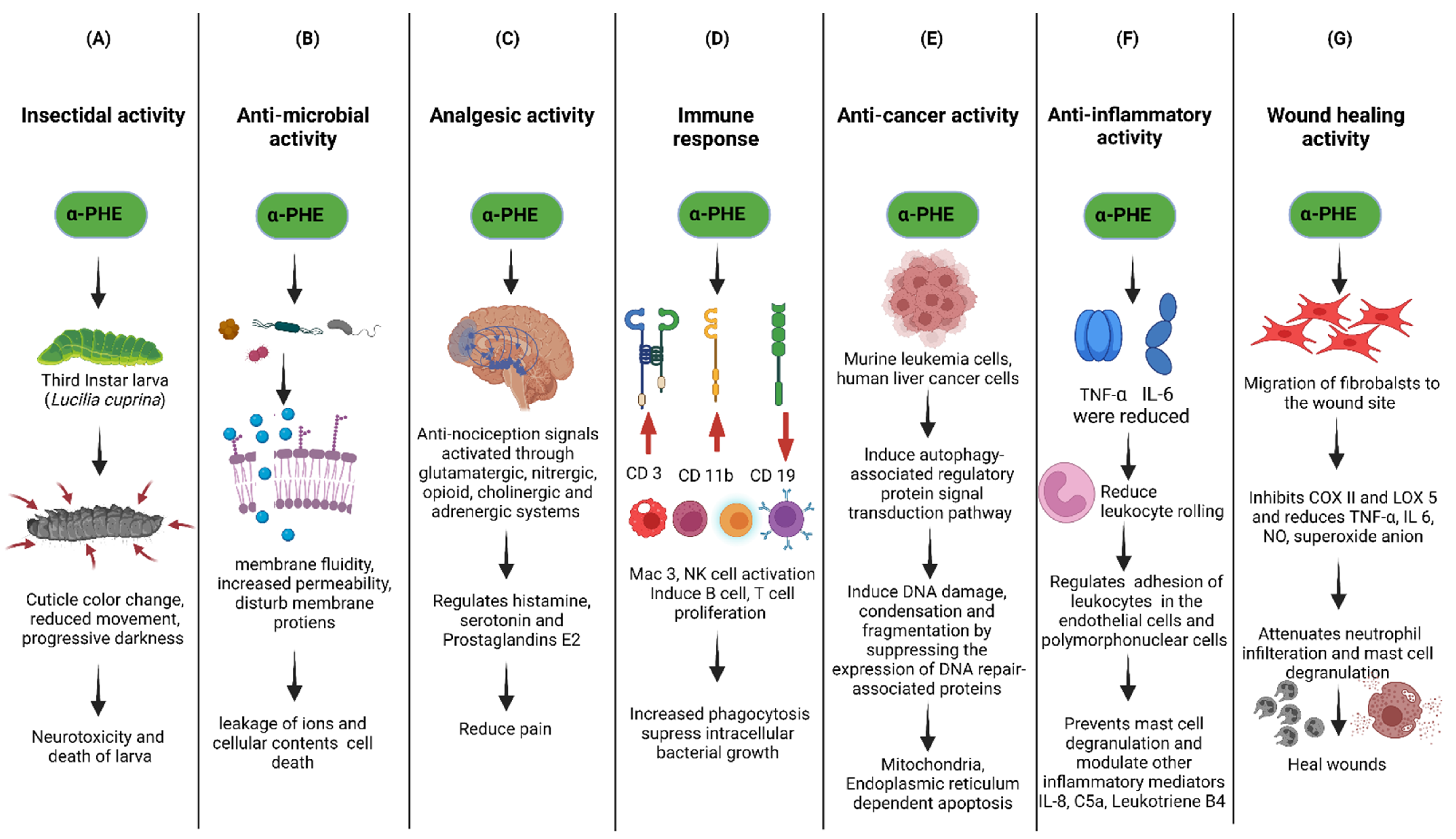 Scipharm 90 00057 g006 Scipharm 90 00057 g006