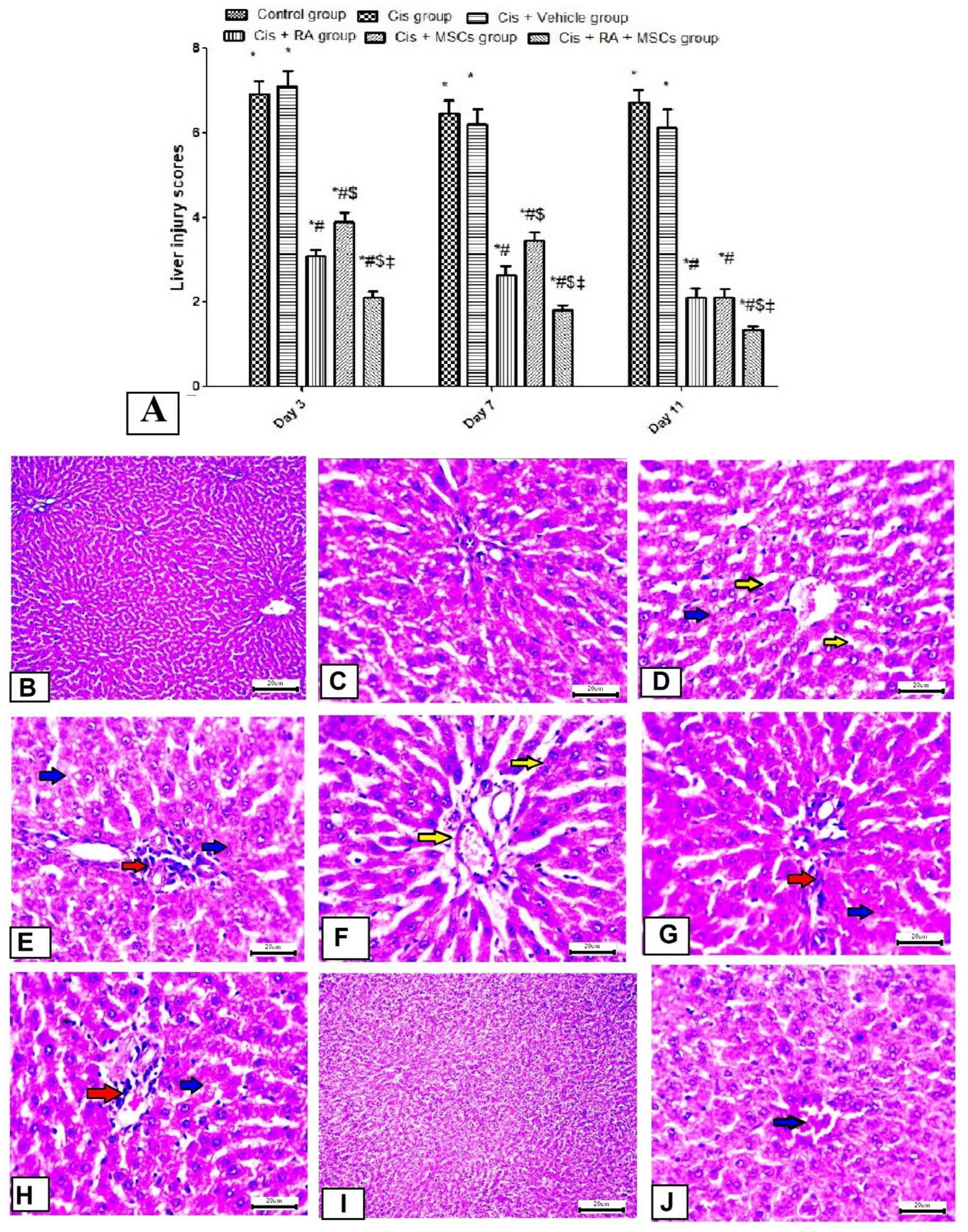 Scipharm 90 00058 g005 Scipharm 90 00058 g005