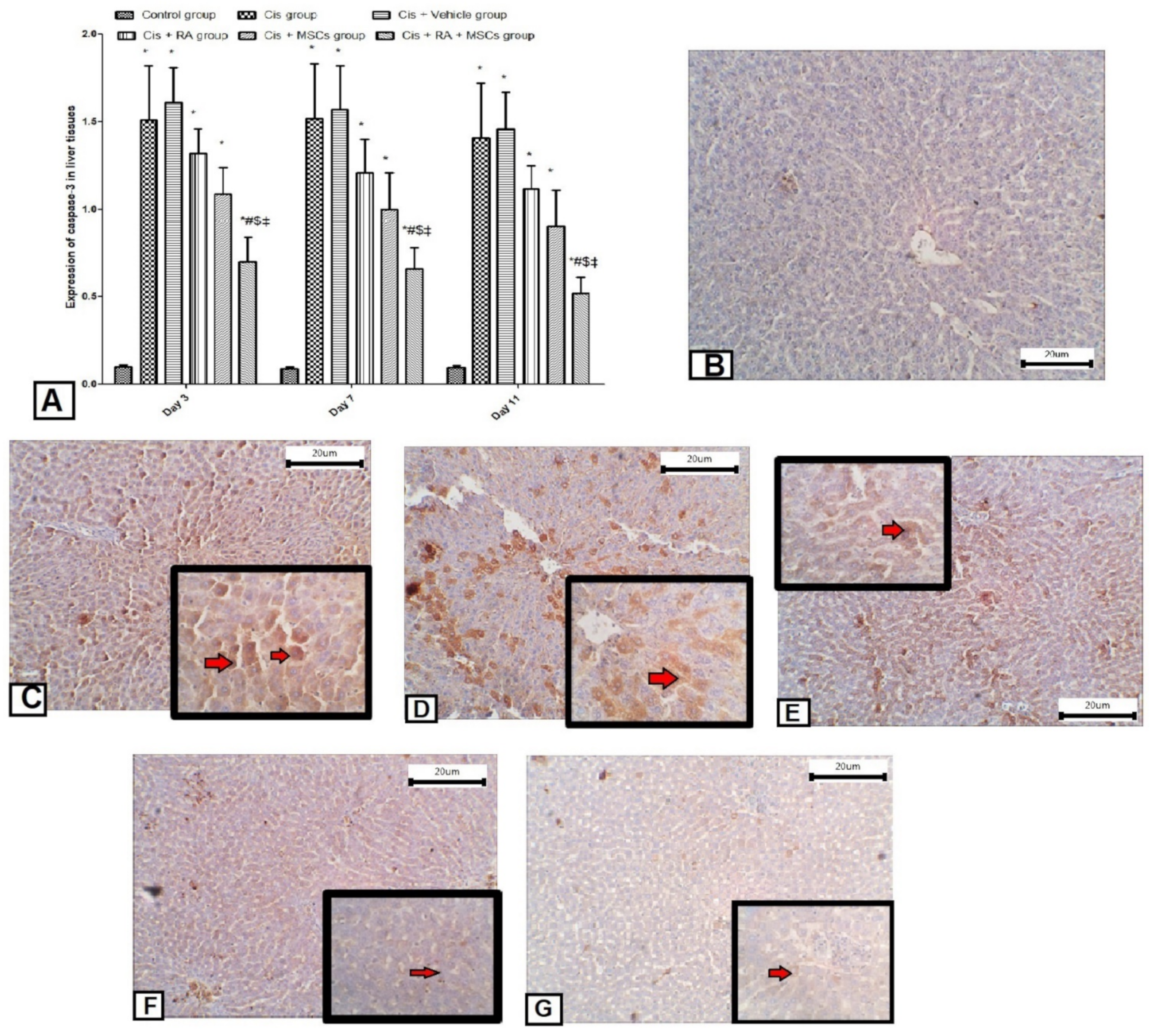 Scipharm 90 00058 g006 Scipharm 90 00058 g006
