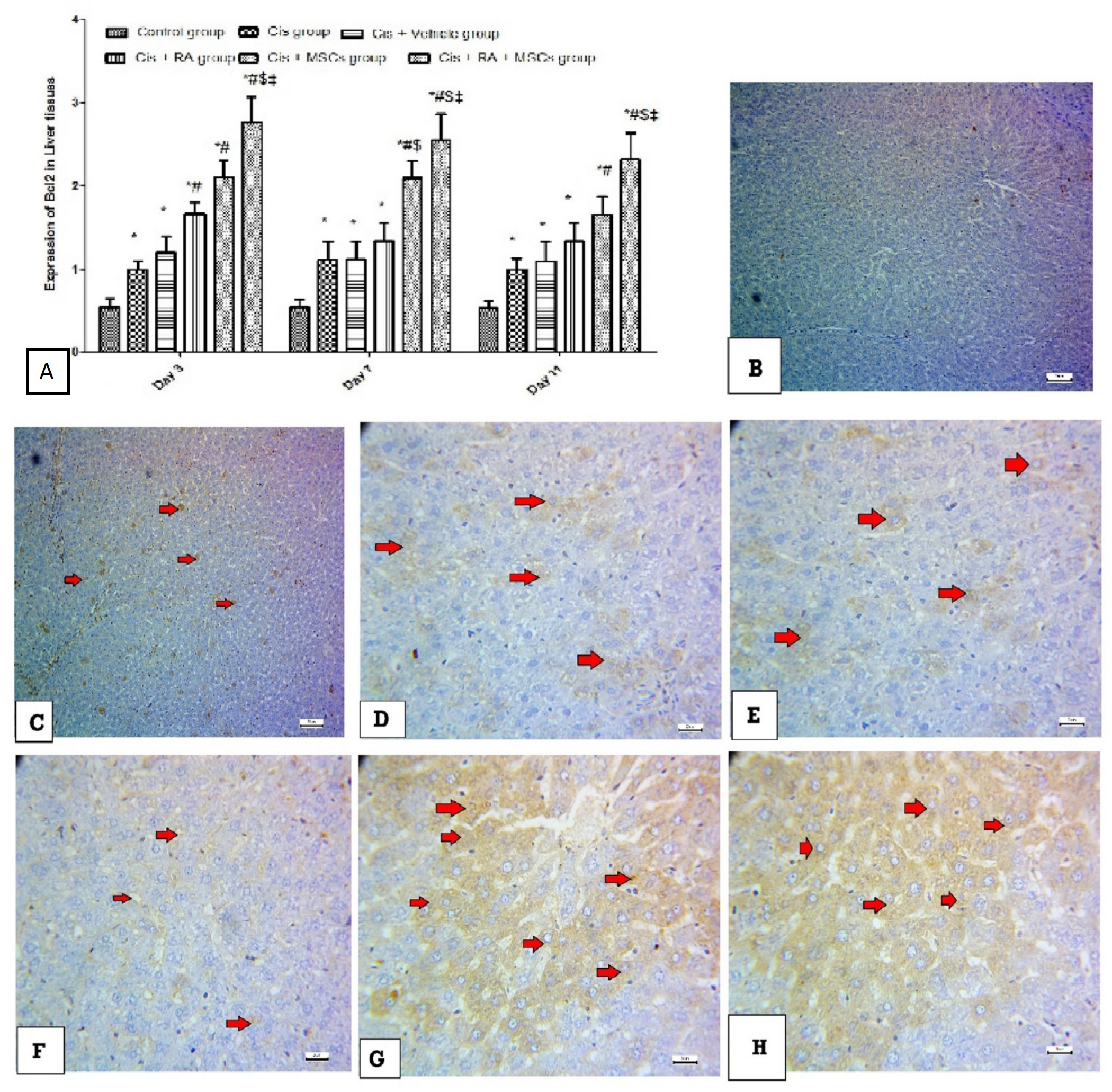 Scipharm 90 00058 g008 Scipharm 90 00058 g008