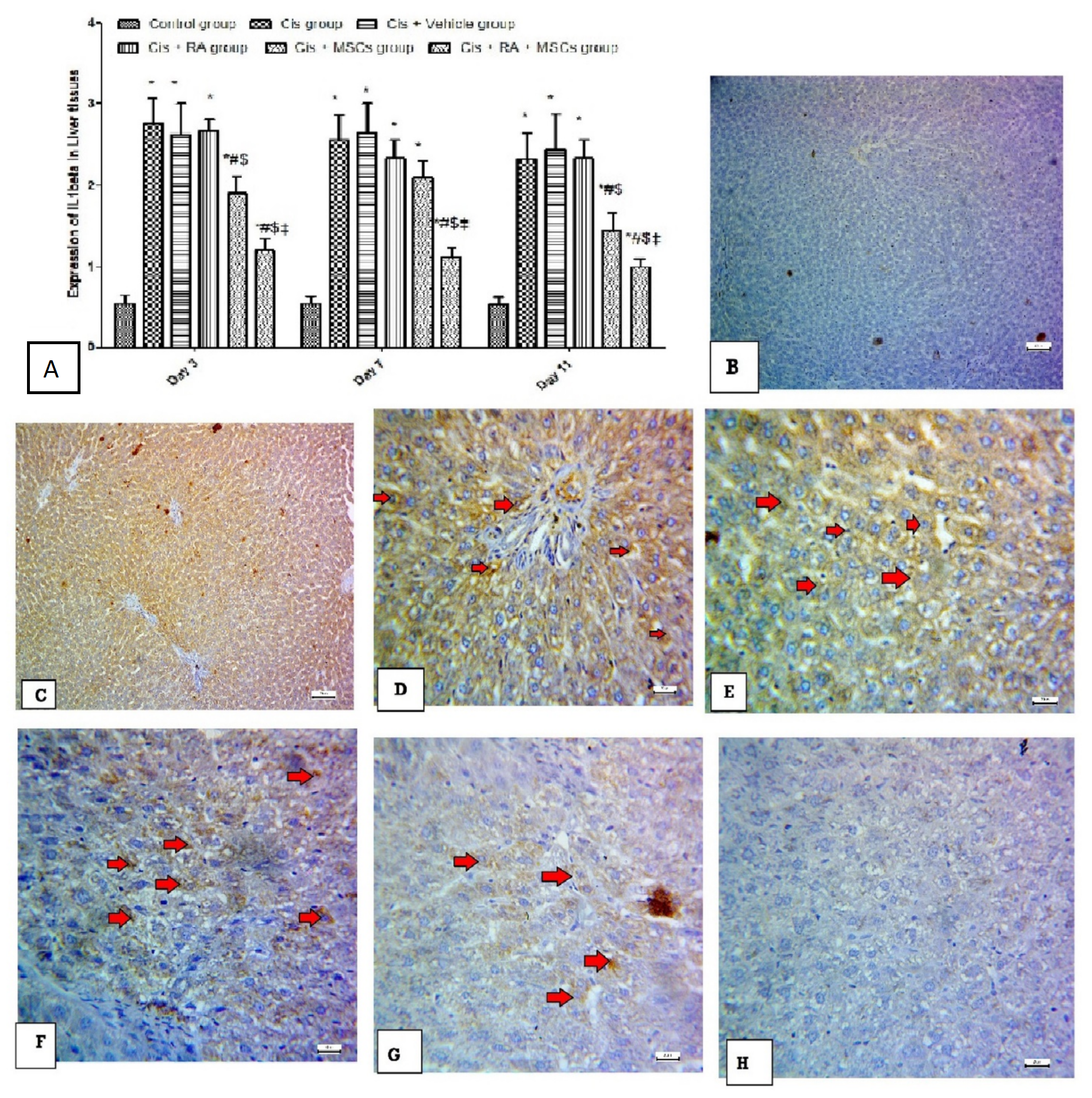 Scipharm 90 00058 g009 Scipharm 90 00058 g009
