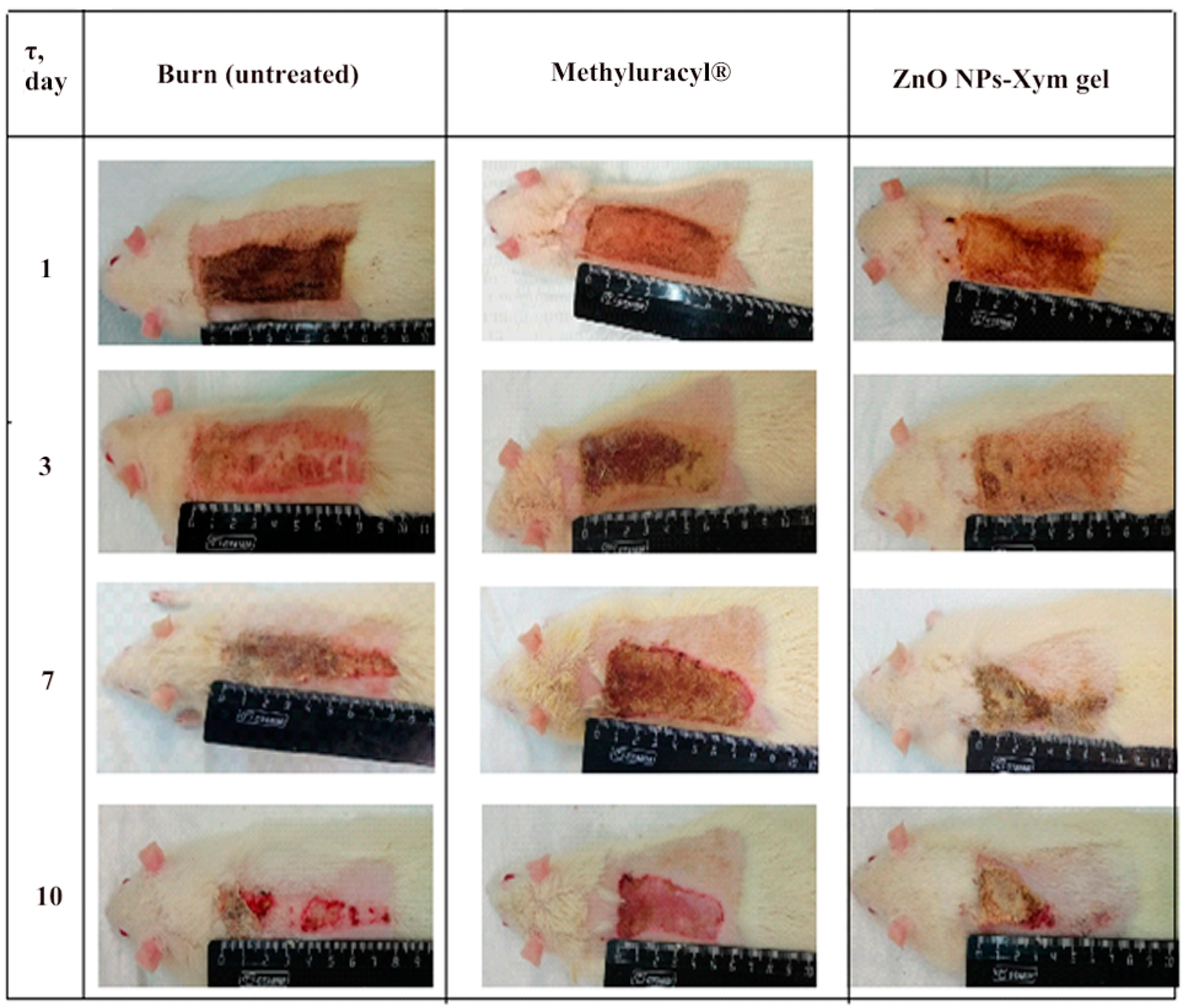 Scipharm 90 00061 g008