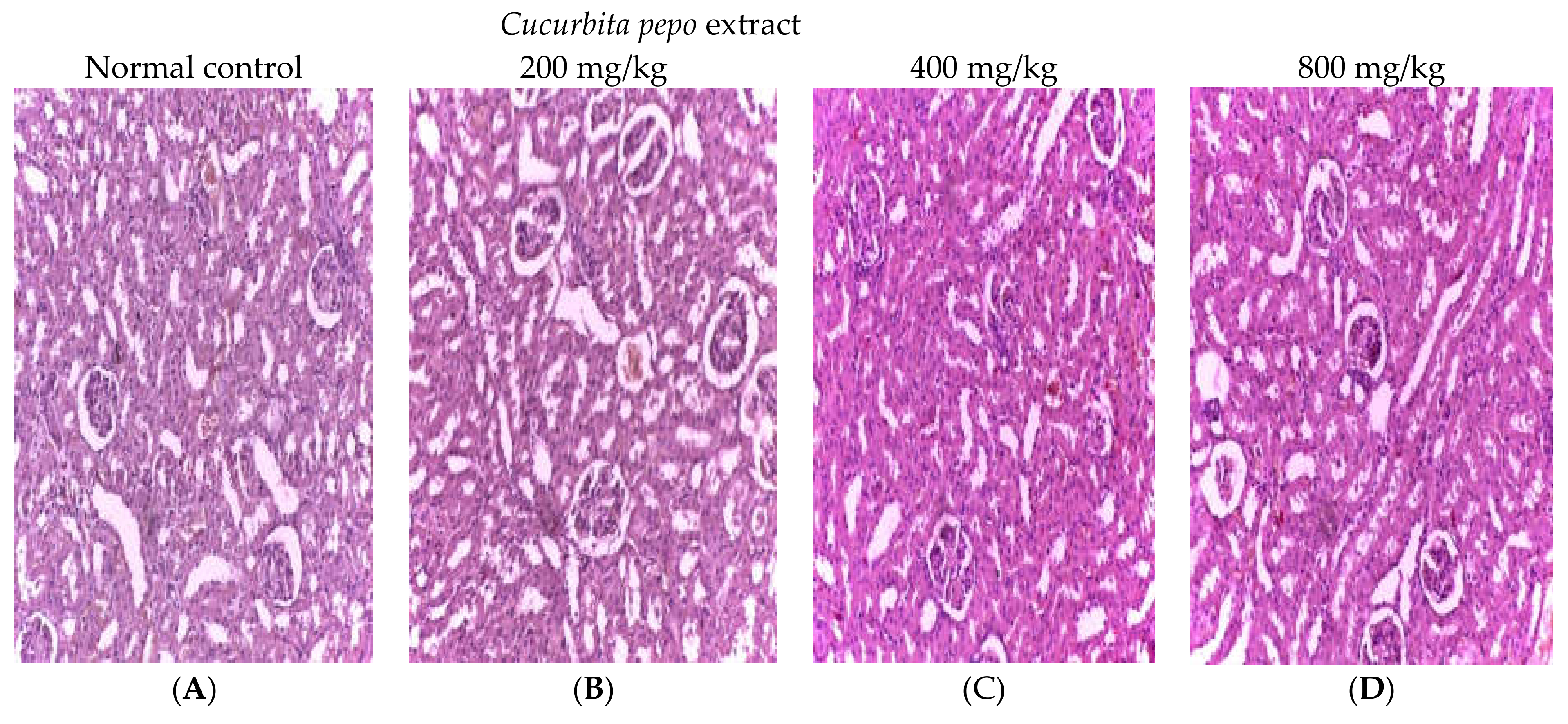 Scipharm 90 00064 g008 Scipharm 90 00064 g008