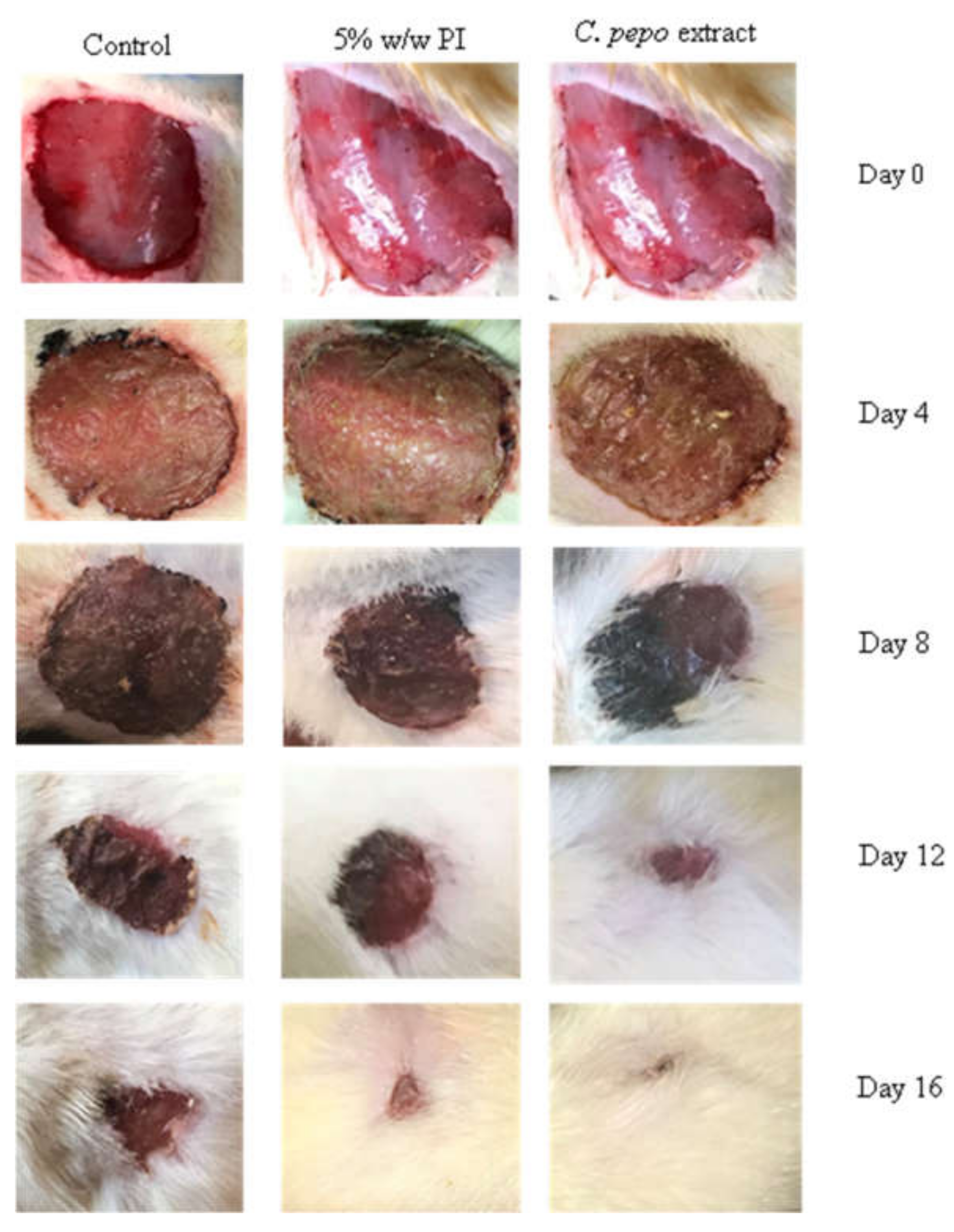 Scipharm 90 00064 g009 Scipharm 90 00064 g009