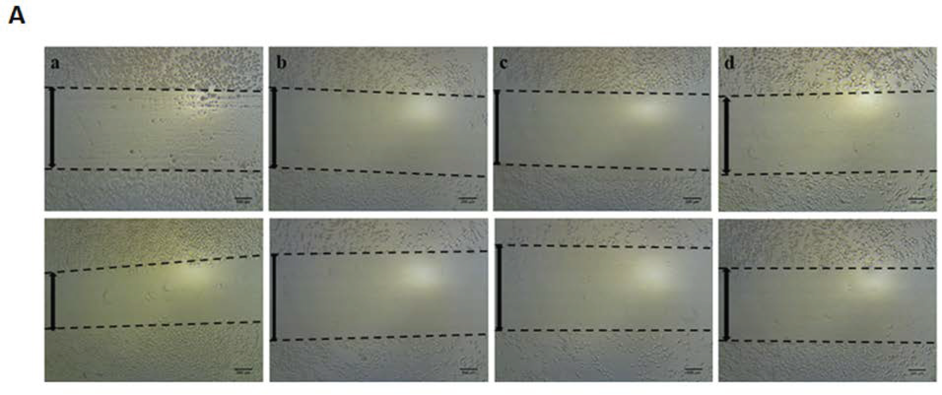 Scipharm 90 00069 g002a