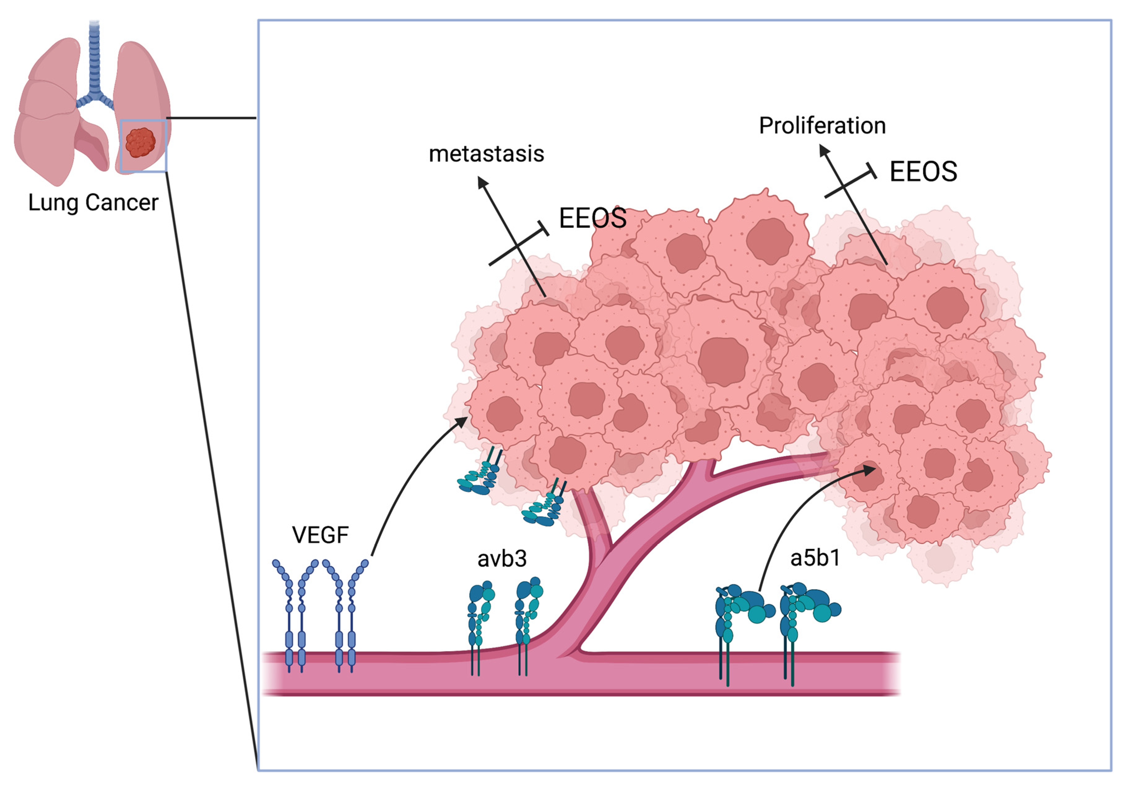 Scipharm 90 00069 g004