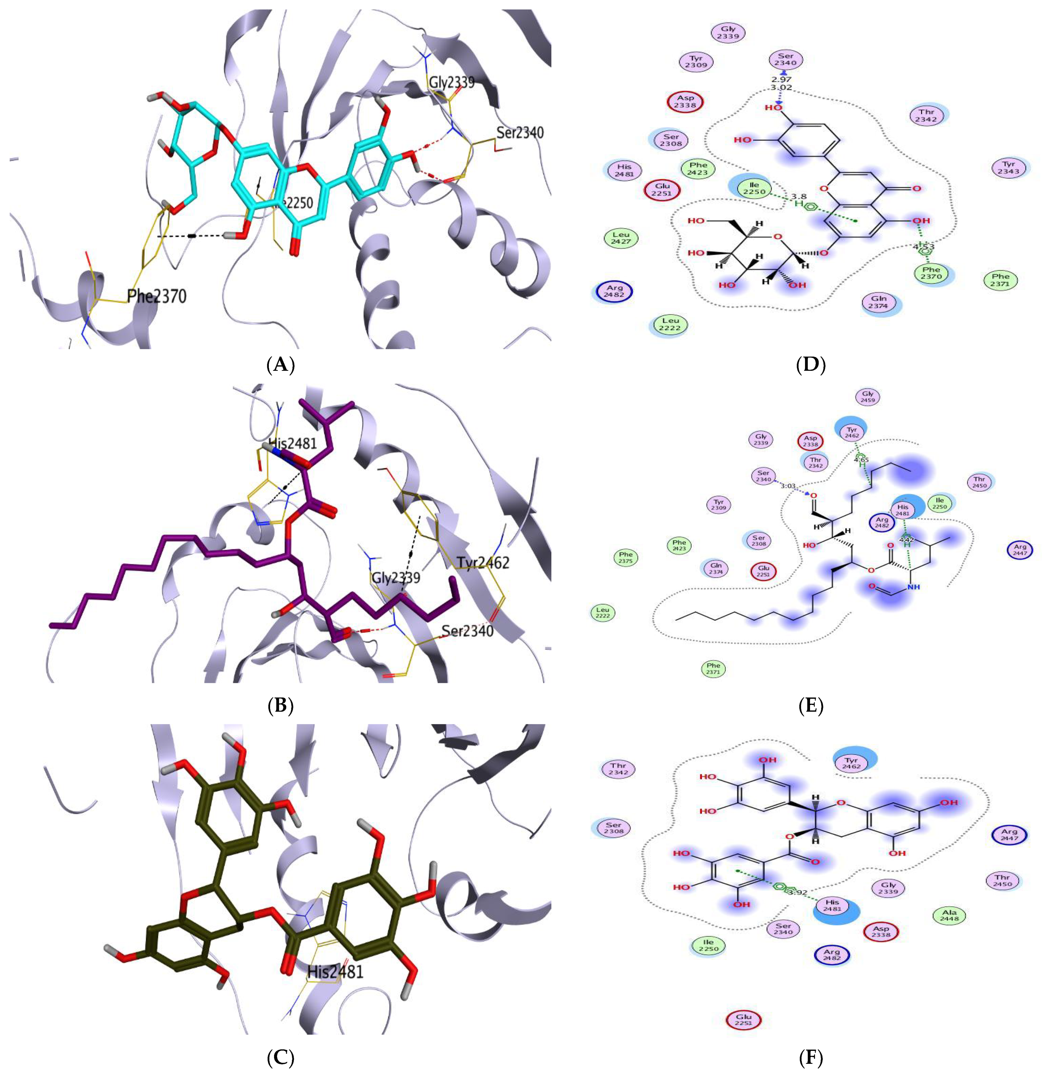 Scipharm 91 00007 g004 Scipharm 91 00007 g004