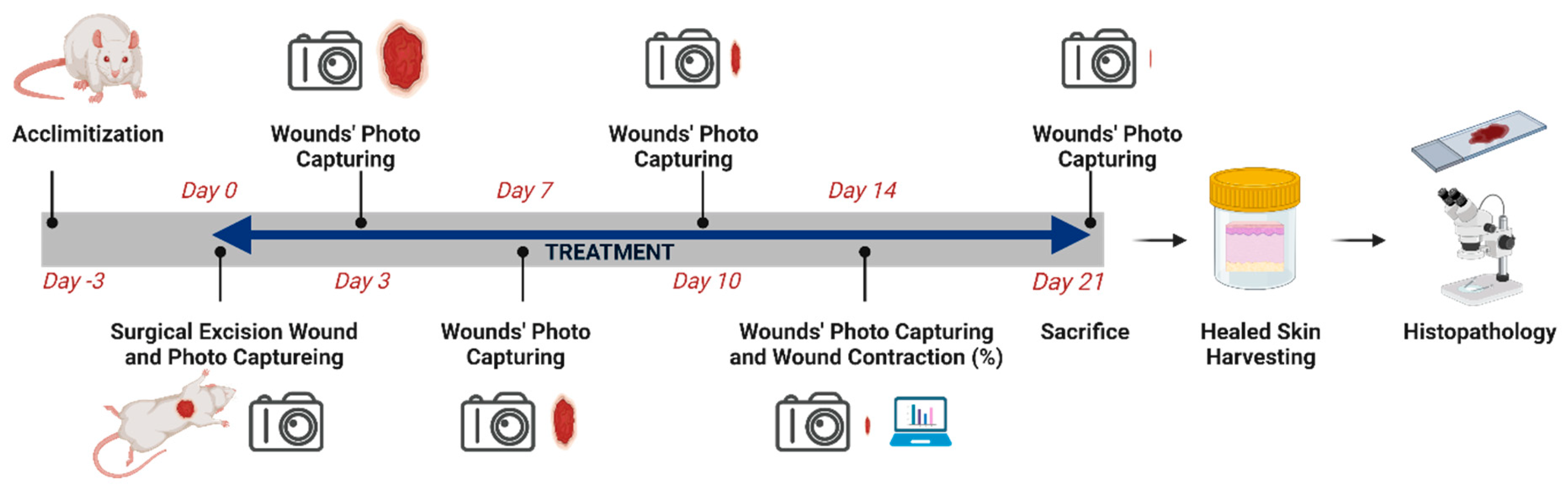 Scipharm 91 00016 g001